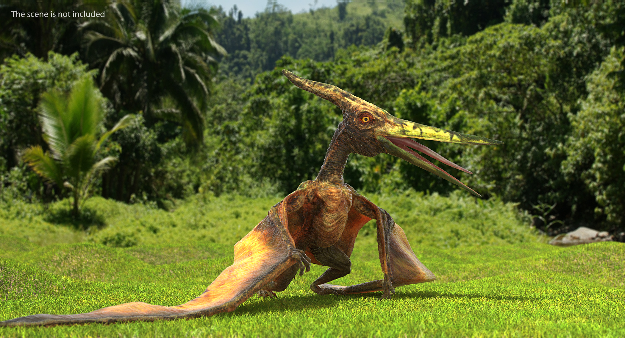 3D Pteranodon Flying Carnivorous Reptile Standing Pose