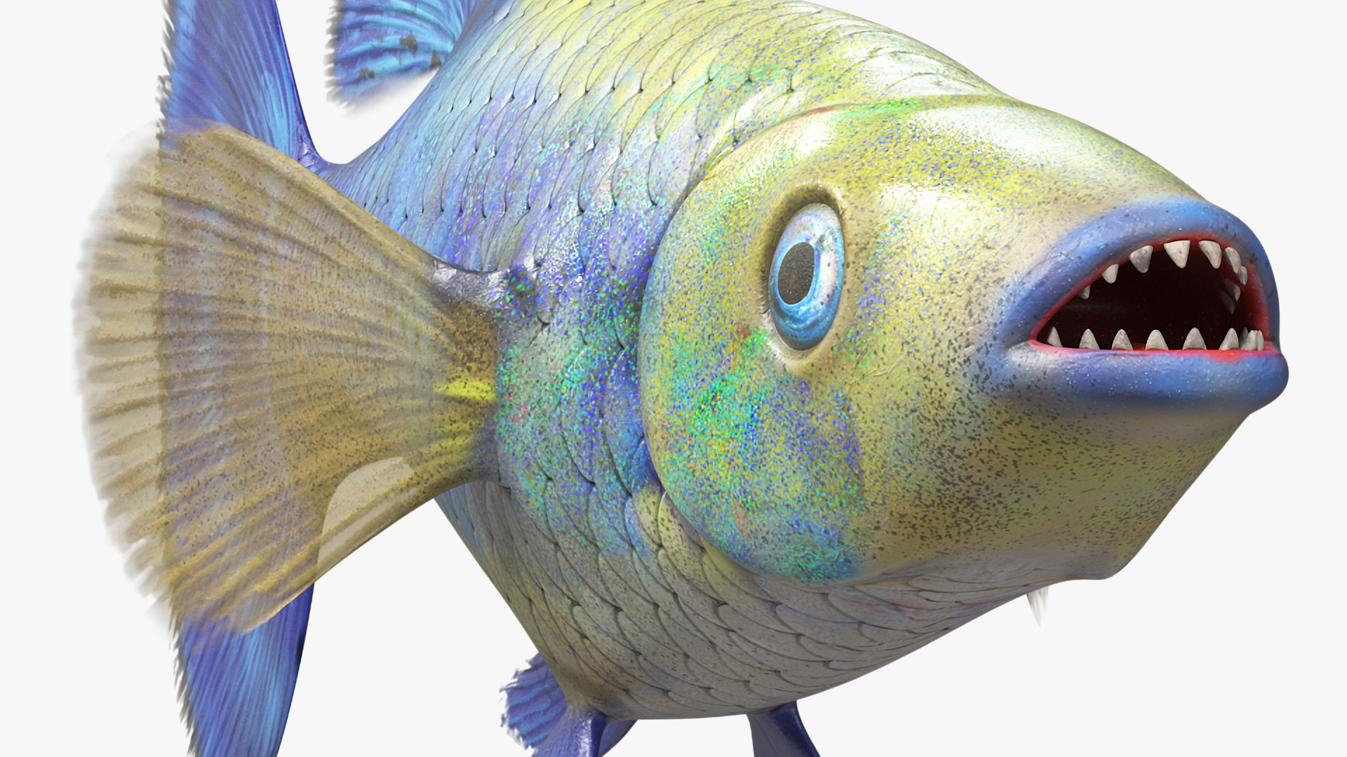 Guppy Fish Blue Diamond Rigged for Cinema 4D 3D model