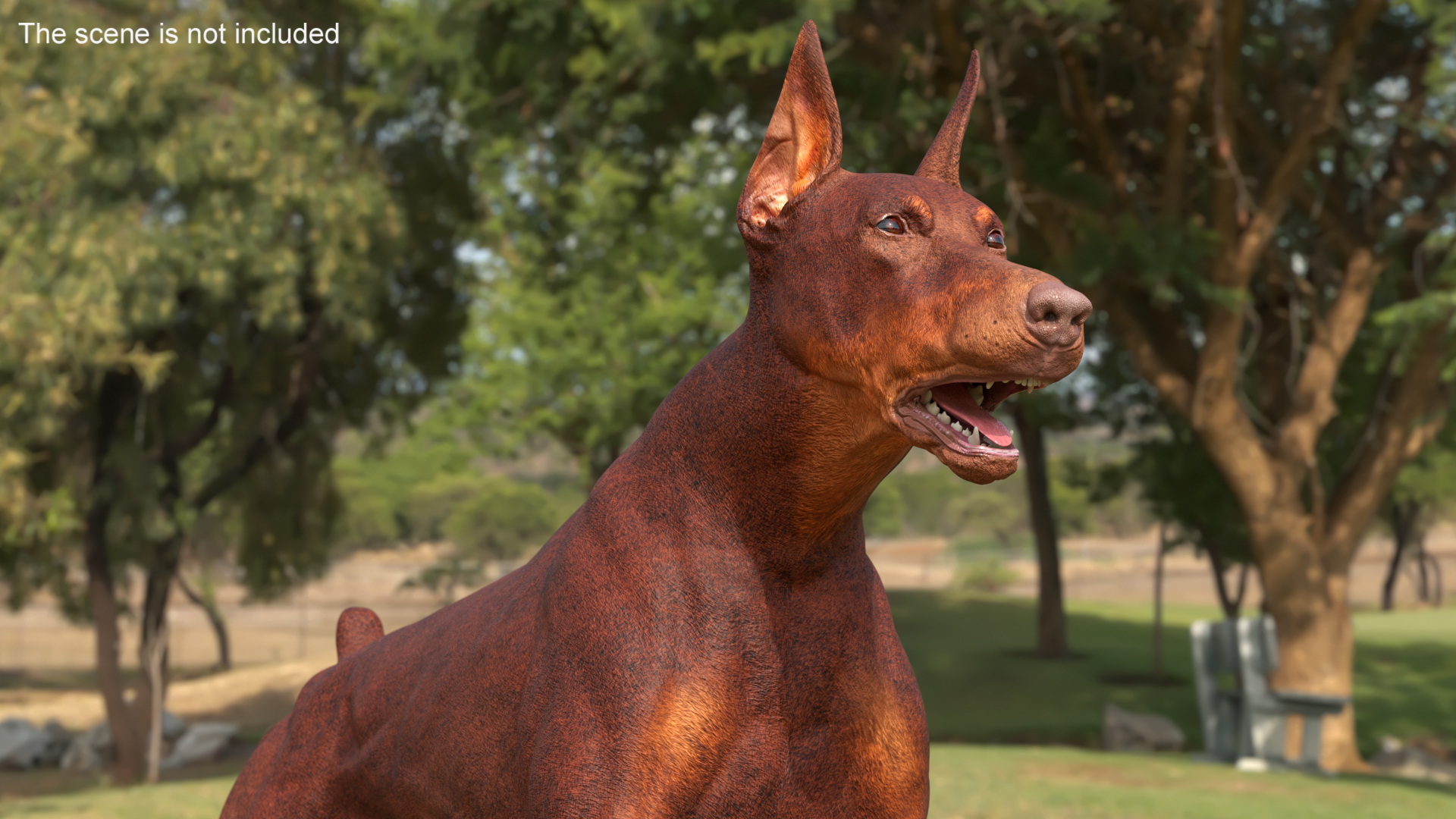 Doberman Dog Brown Rigged for Cinema 4D 3D model