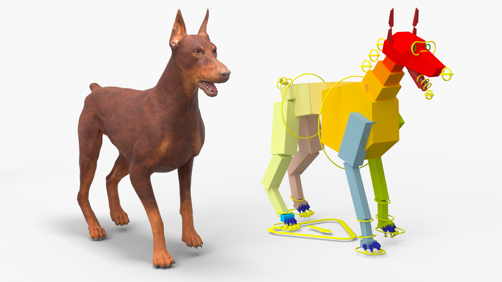 Doberman Dog Brown Rigged for Cinema 4D 3D model