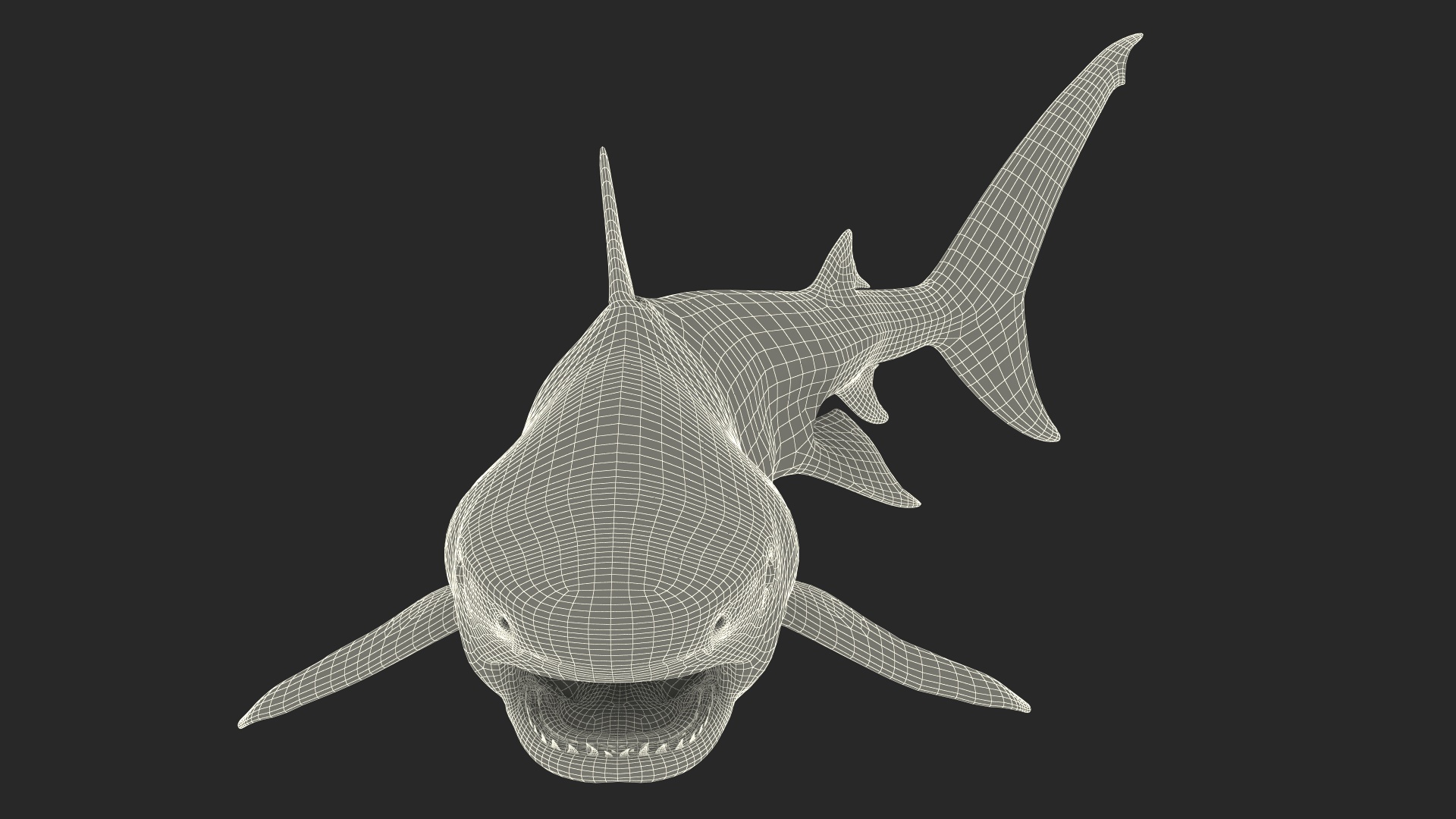 3D Tiger Shark Attacking