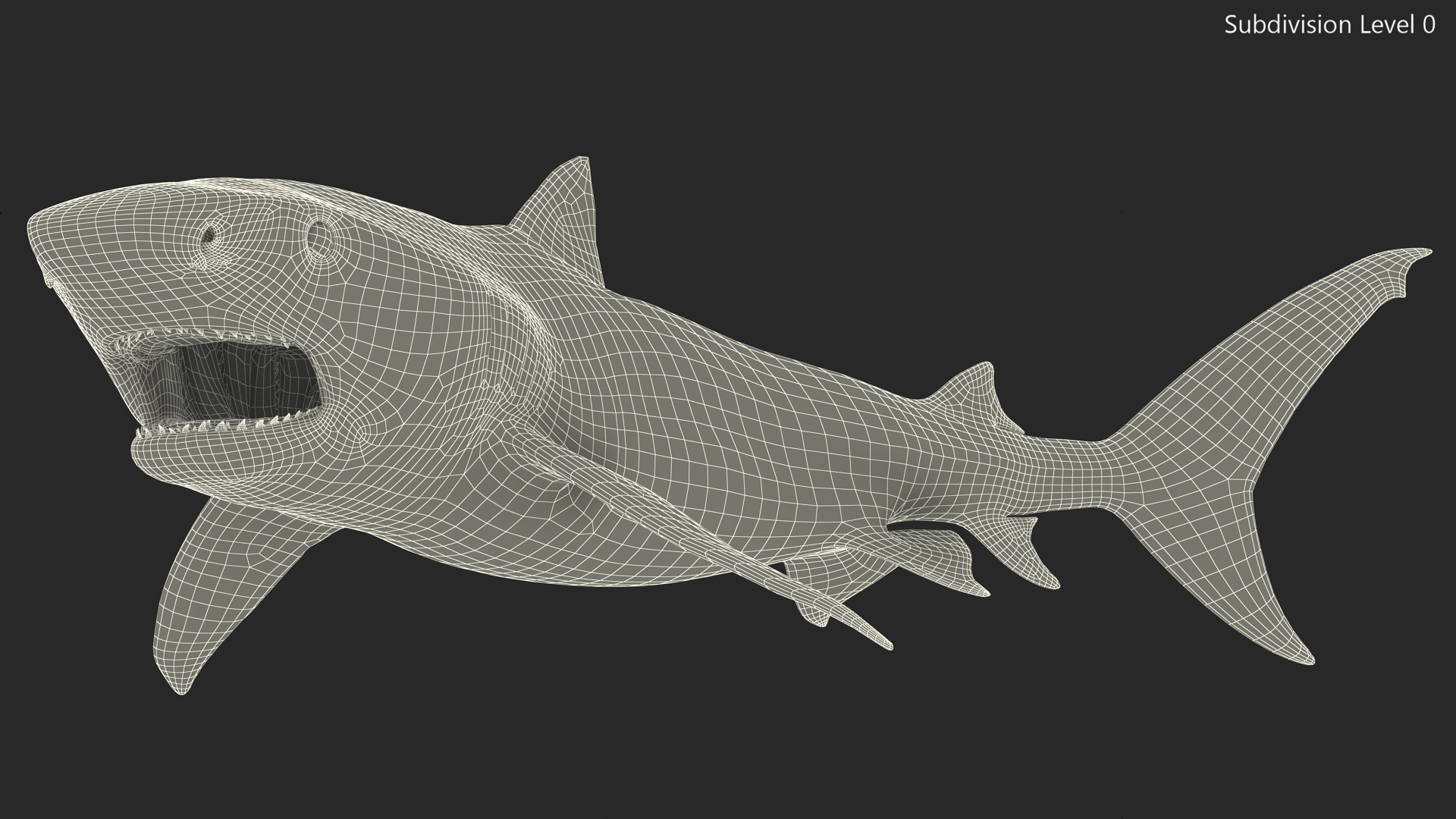 3D Tiger Shark Attacking