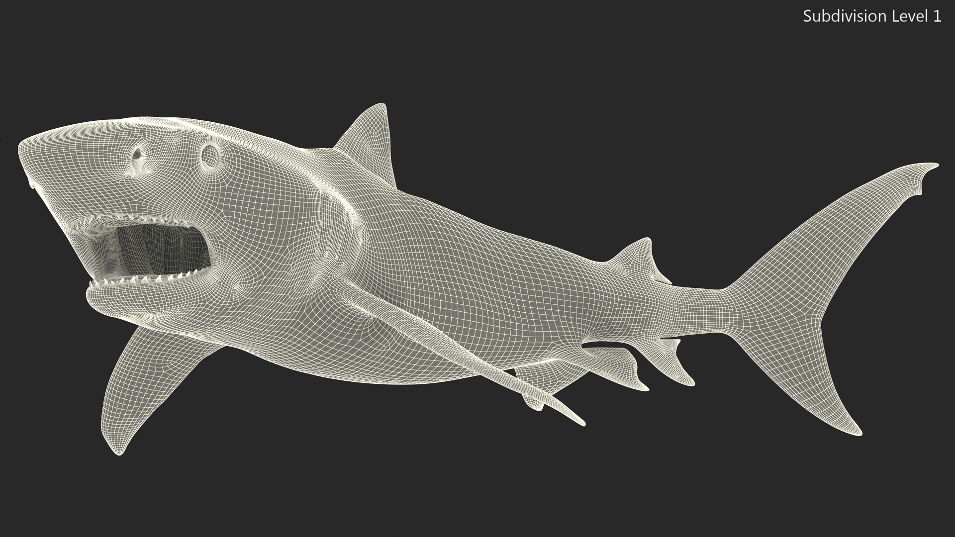 3D Tiger Shark Attacking