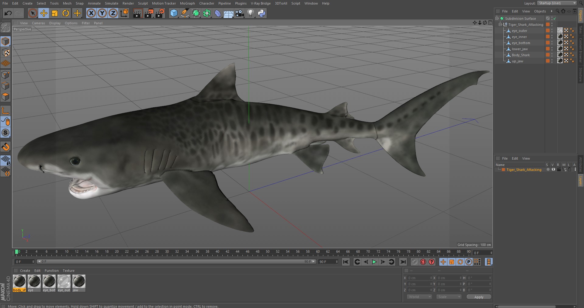 3D Tiger Shark Attacking