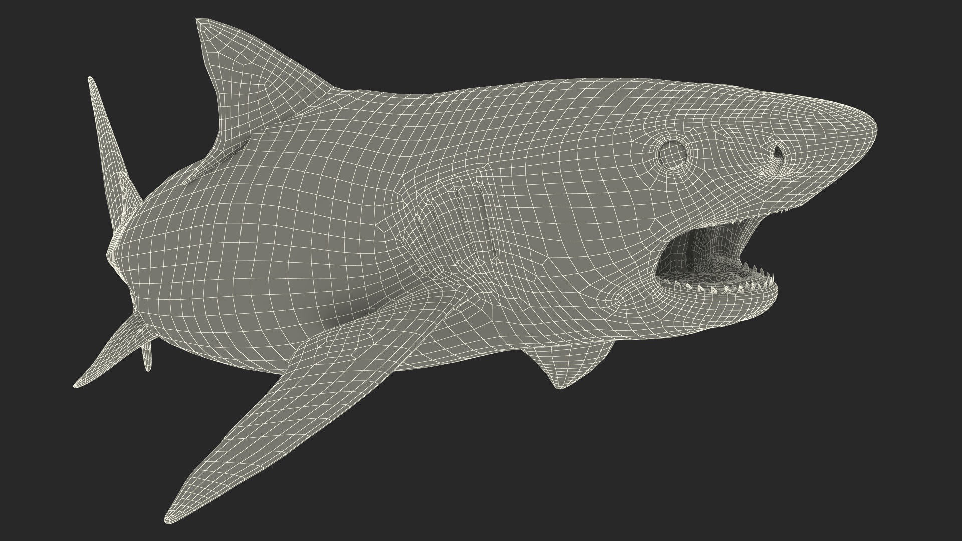 3D Tiger Shark Attacking