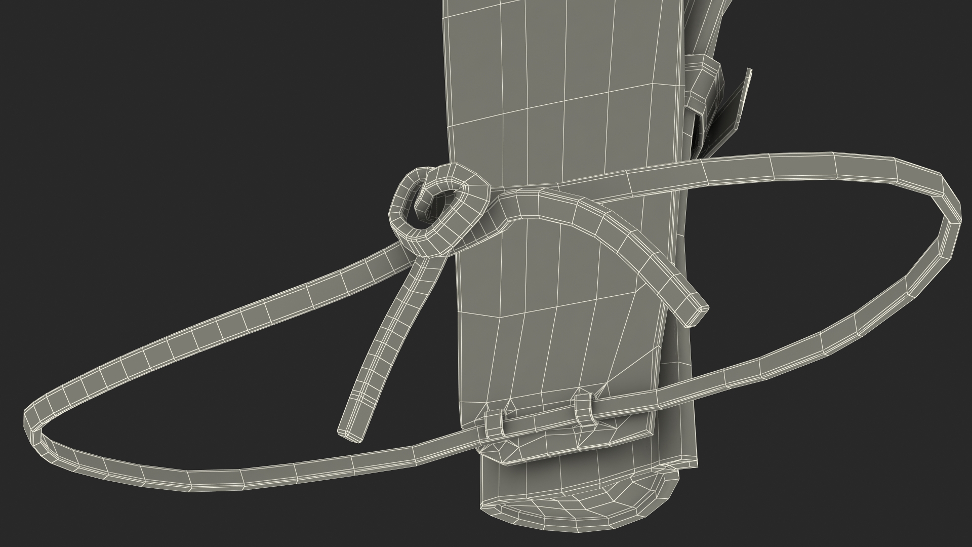 Western Gun Belt with Holster 3D model