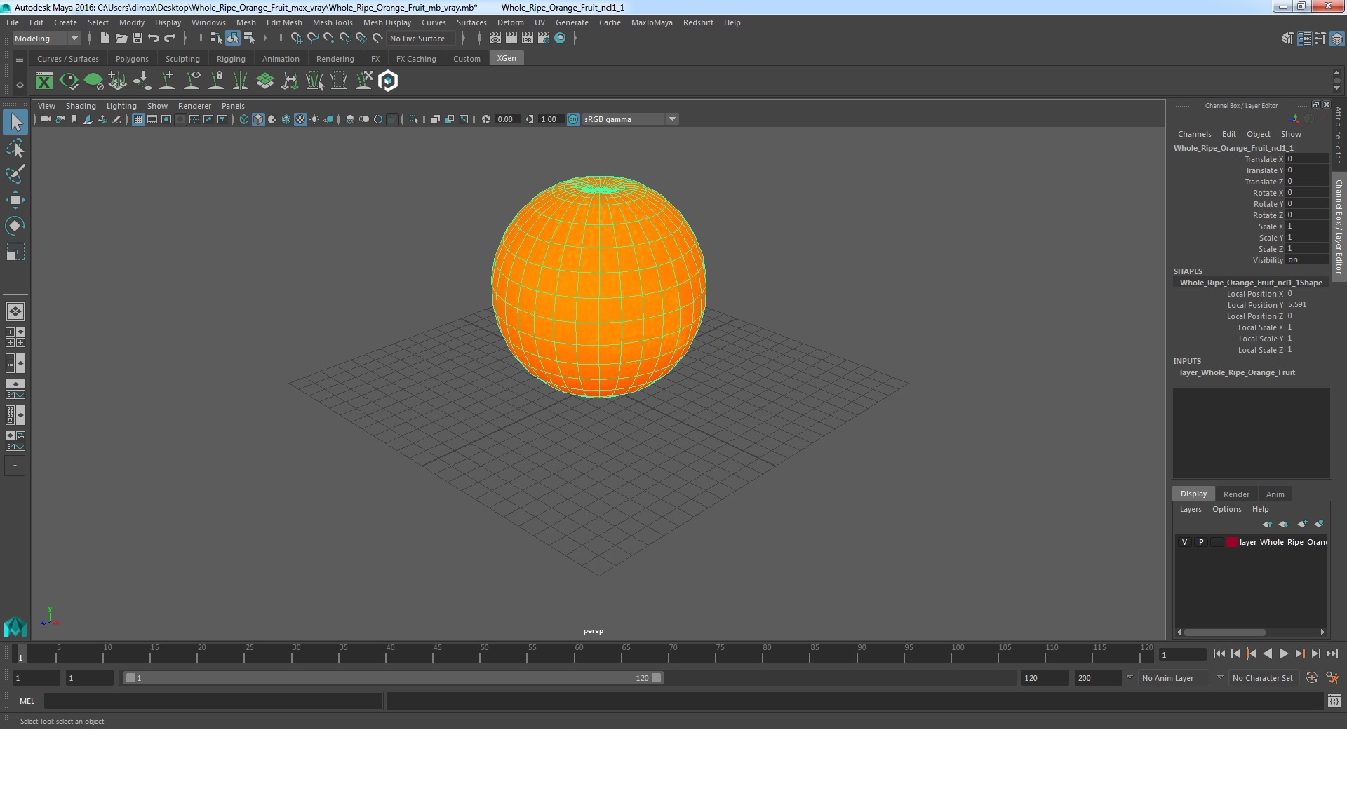3D Whole Ripe Orange Fruit model