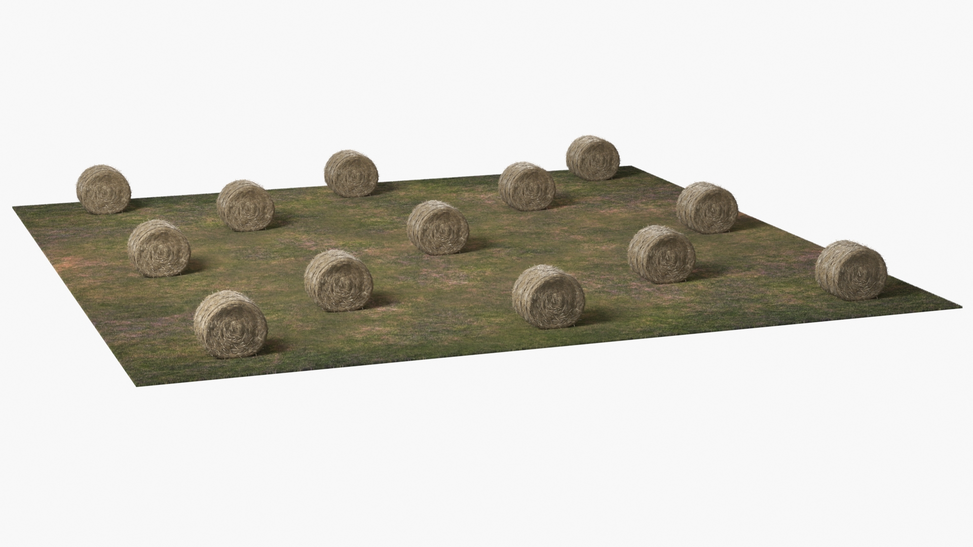 Farm Field with Round Hay Bale Rolls Golden Brown Fur