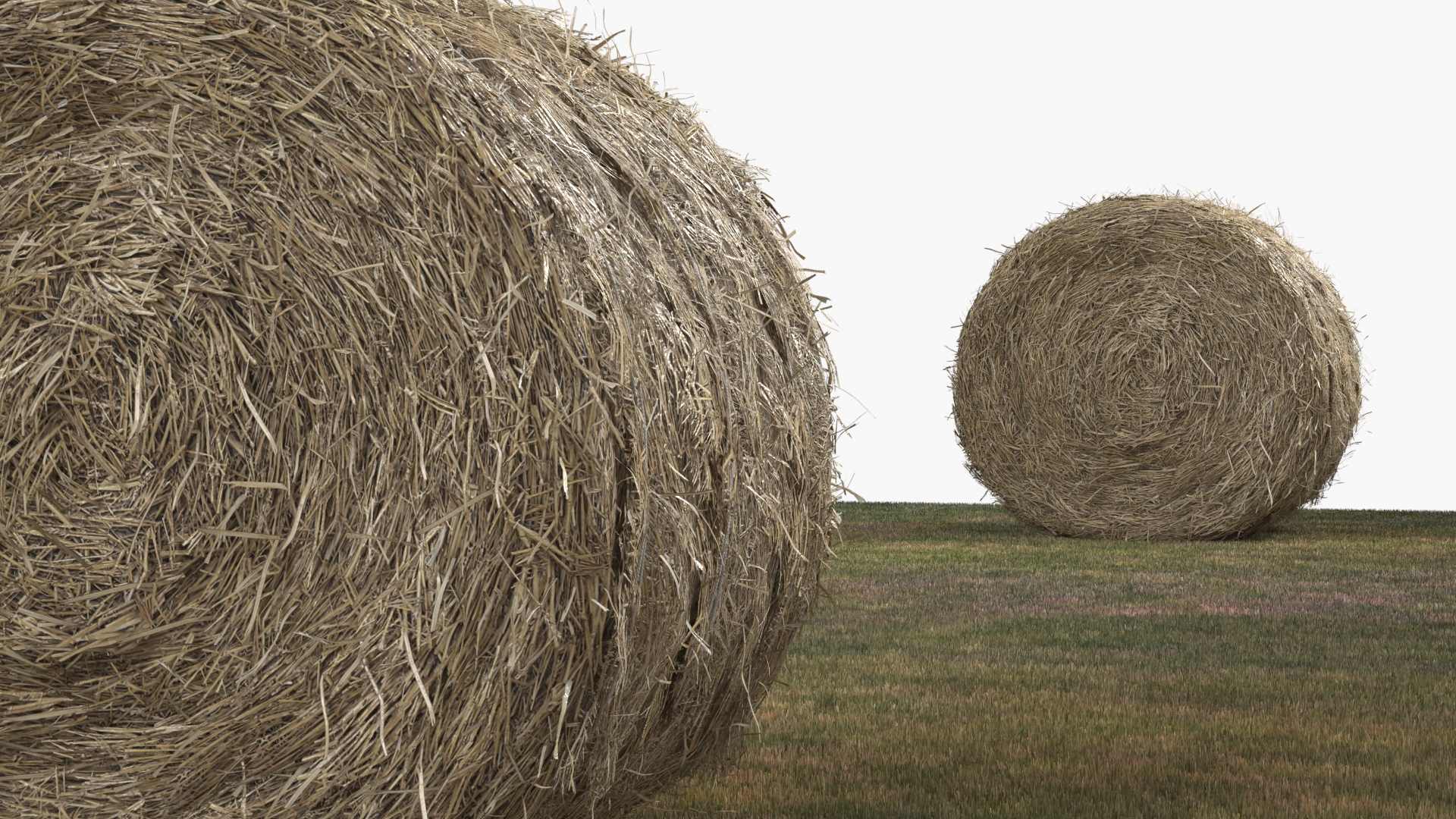 Farm Field with Round Hay Bale Rolls Golden Brown Fur, view 5