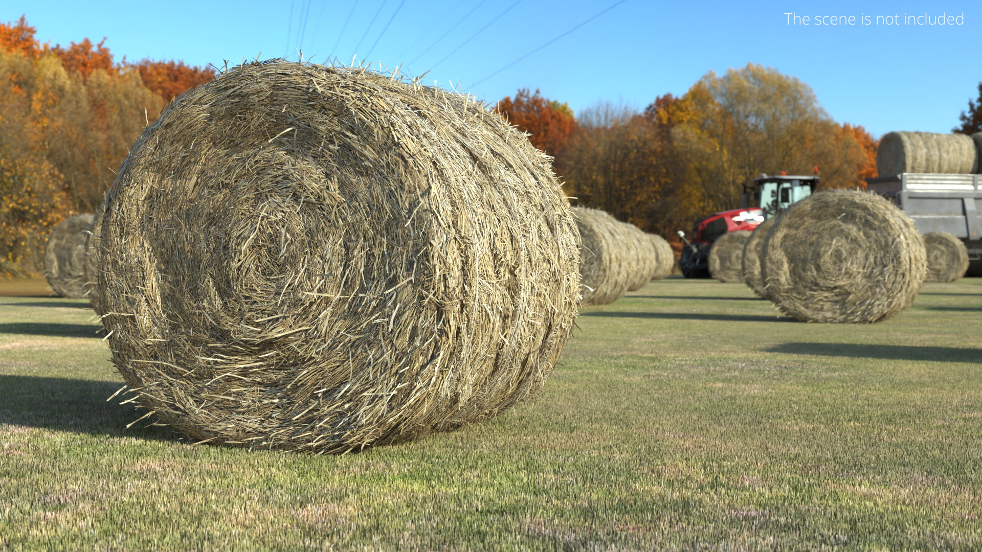 Farm Field with Round Hay Bale Rolls Golden Brown Fur