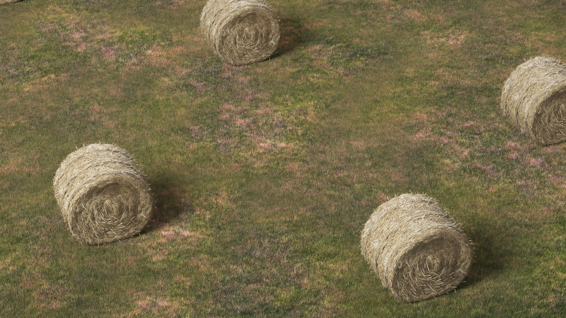 Farm Field with Round Hay Bale Rolls Golden Brown Fur, view 3
