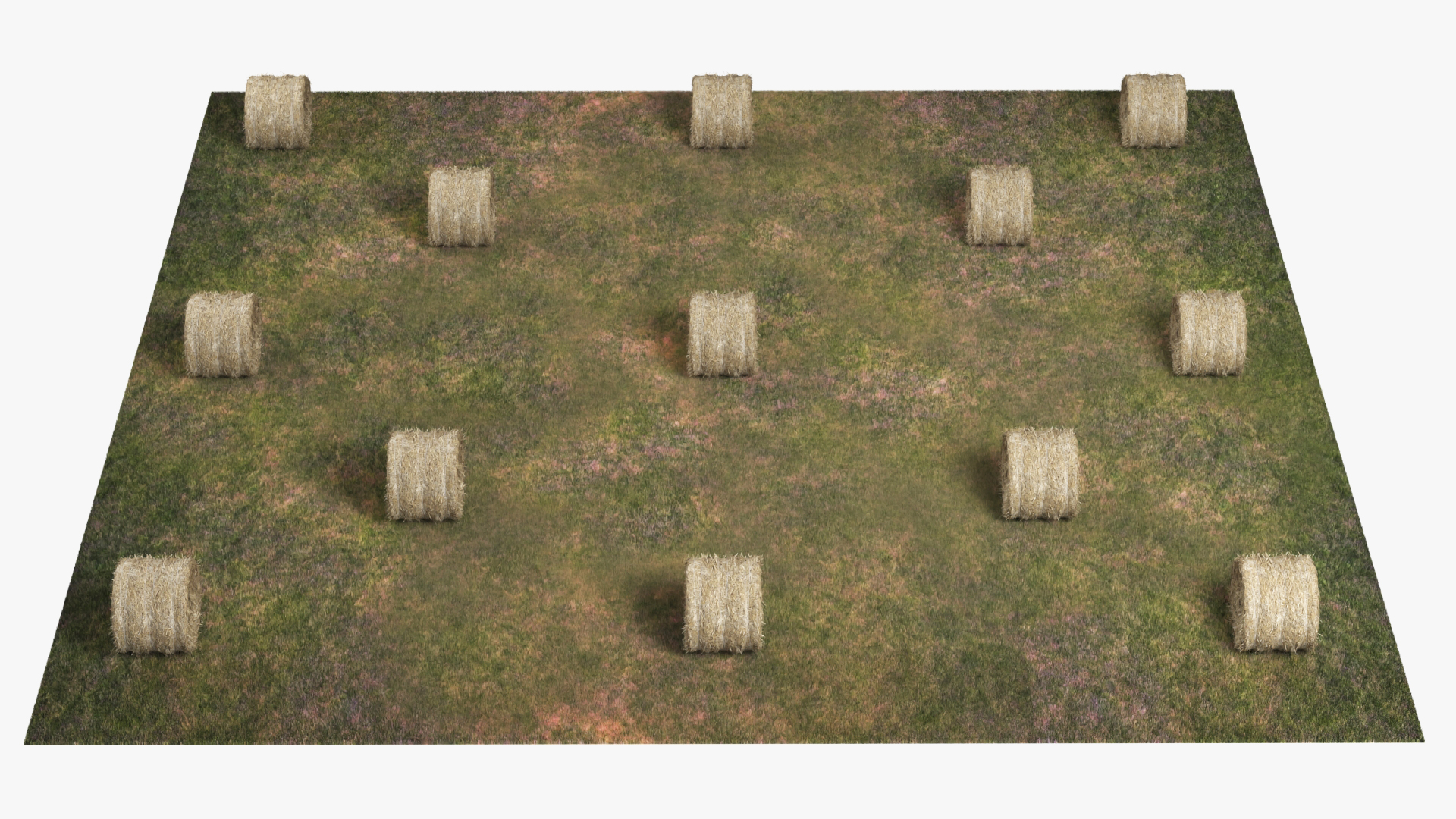 Farm Field with Round Hay Bale Rolls Golden Brown Fur, view 2