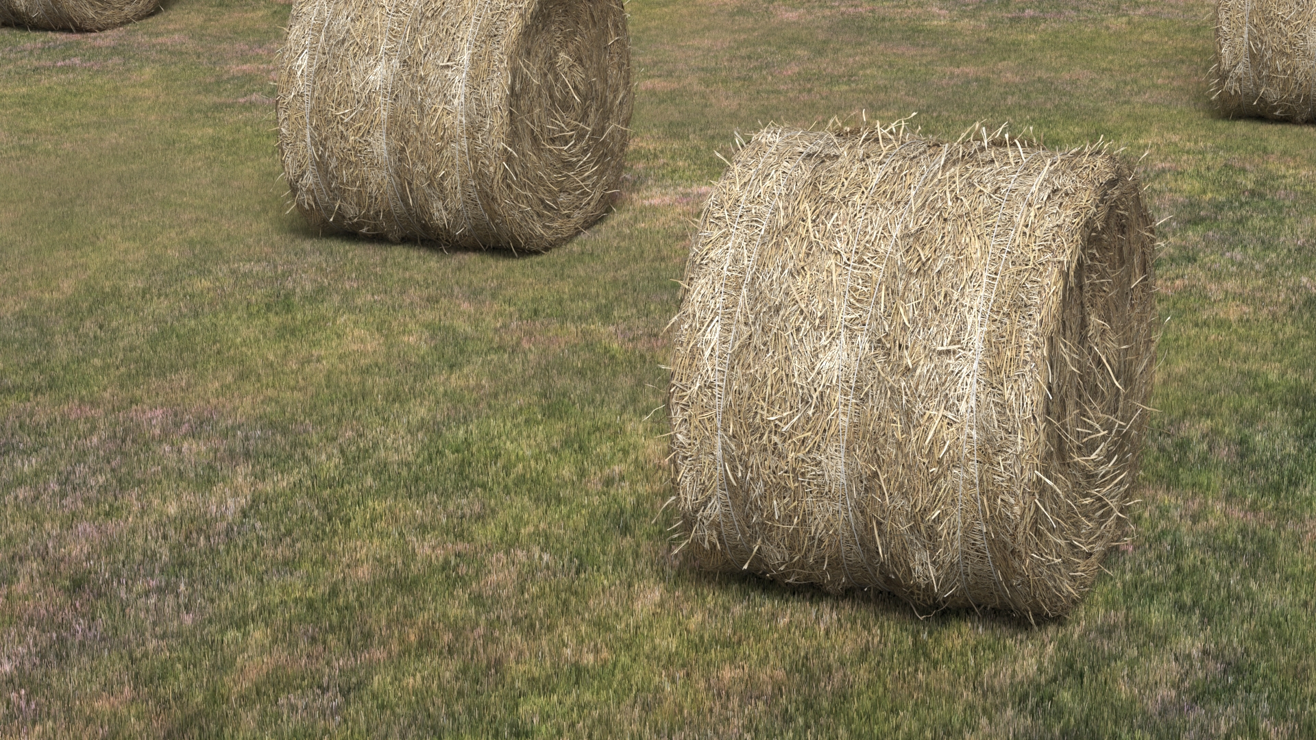Farm Field with Round Hay Bale Rolls Golden Brown Fur, view 4