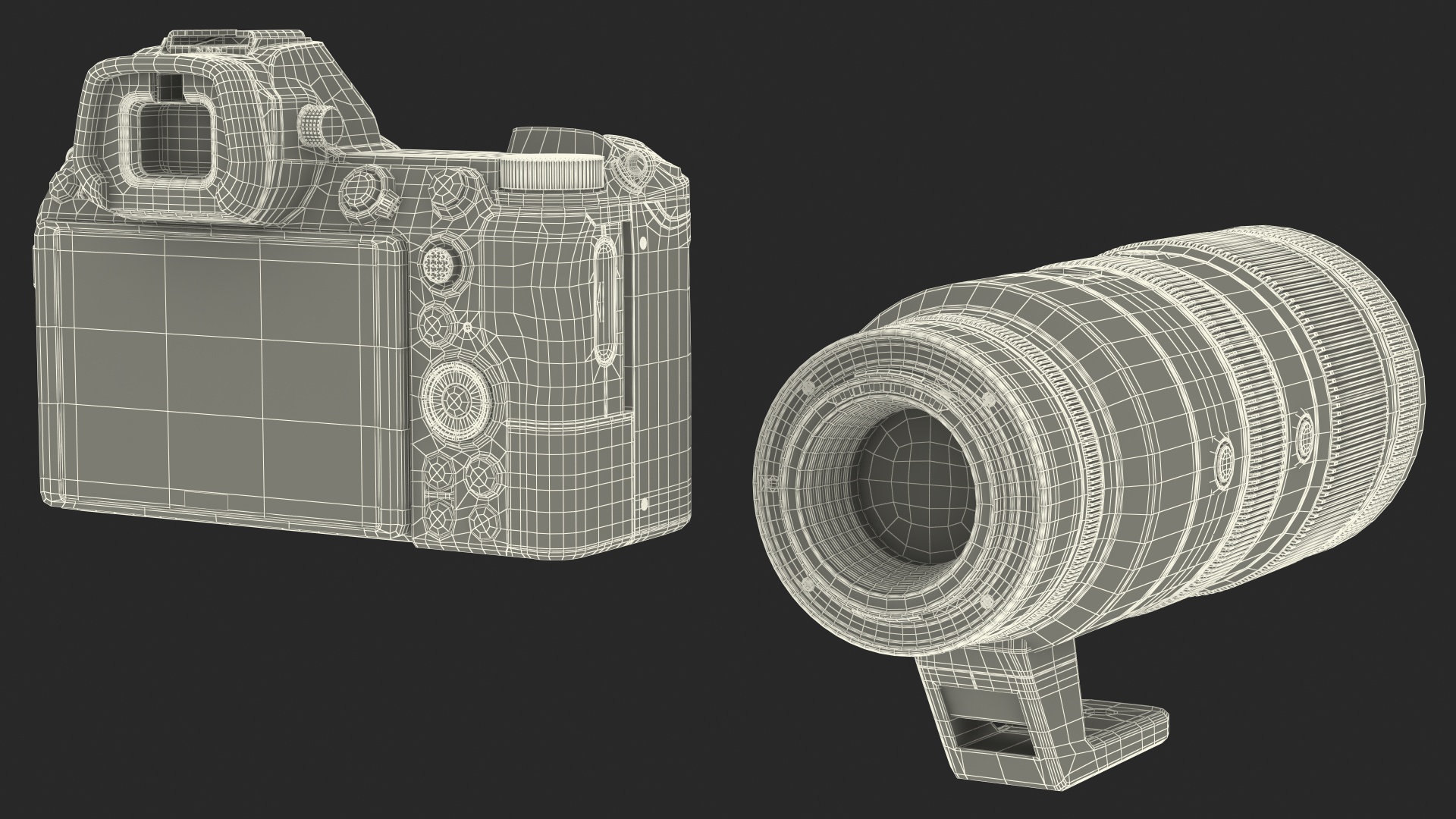 3D Nikon Z7 with NIKKOR Z 70 200mm f2.8 VR S Lens