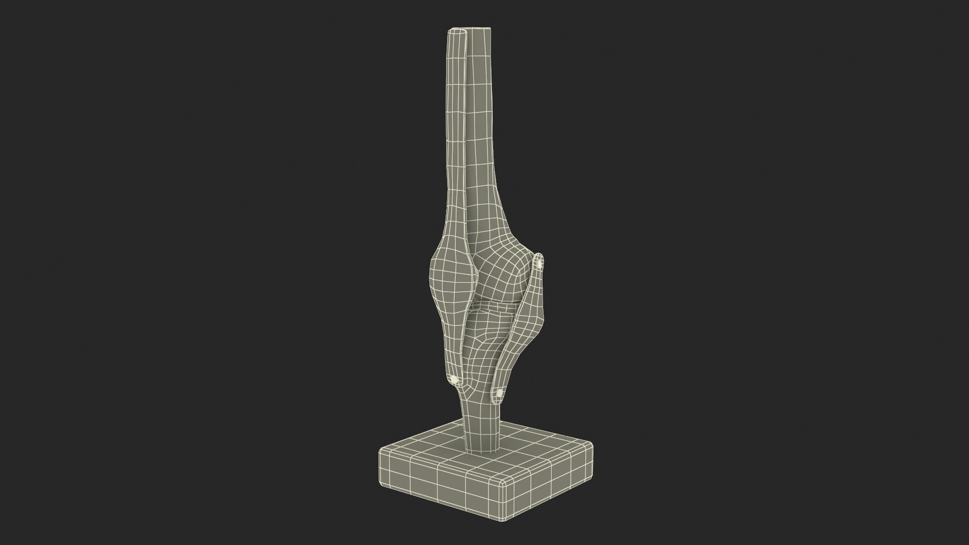 3D Anatomical Model of Knee Joint for 3D Print model