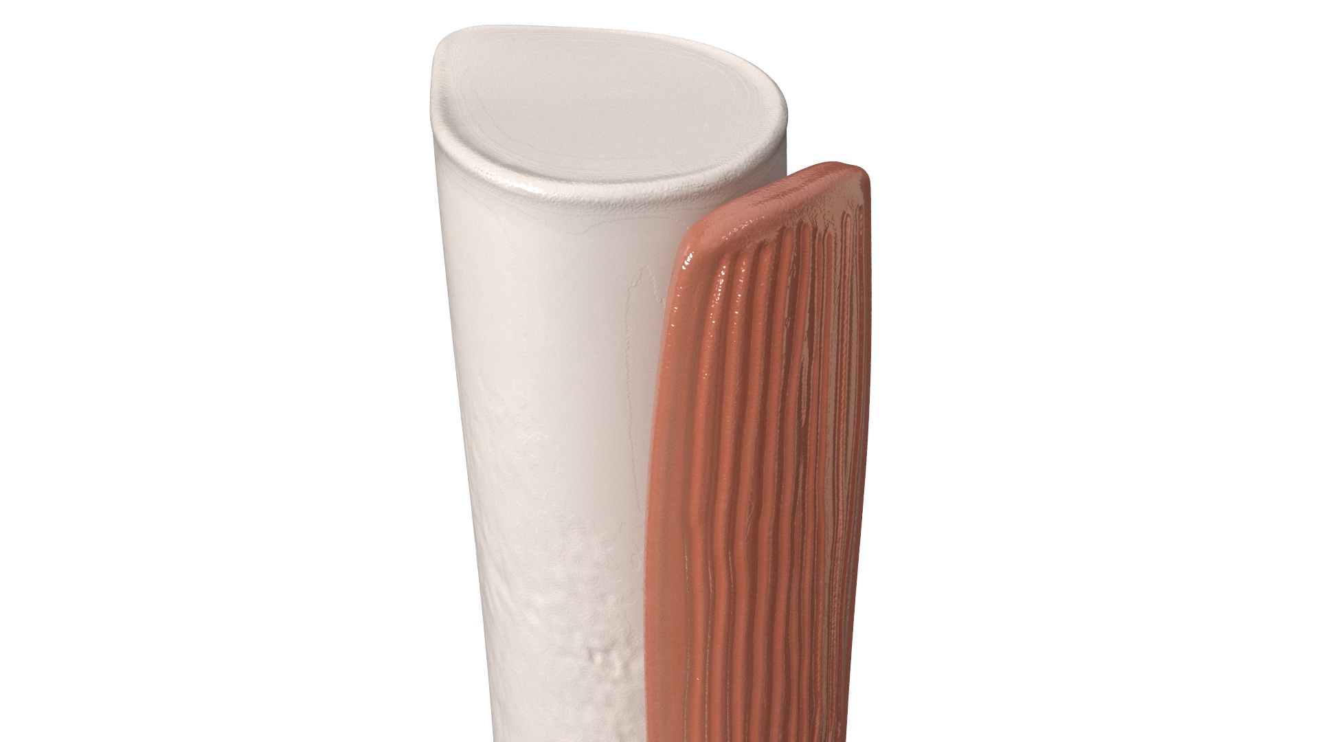 3D Anatomical Model of Knee Joint for 3D Print model