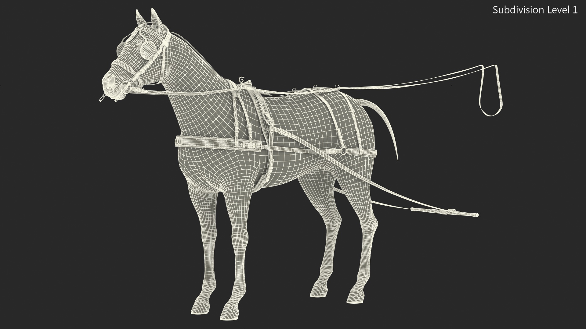 Horse Drawn Leather Driving Harness Rigged 3D