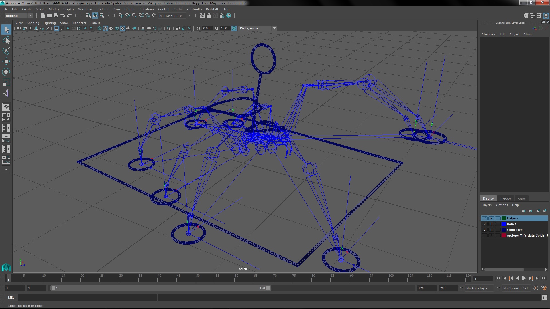 Argiope Trifasciata Spider Rigged for Maya 3D