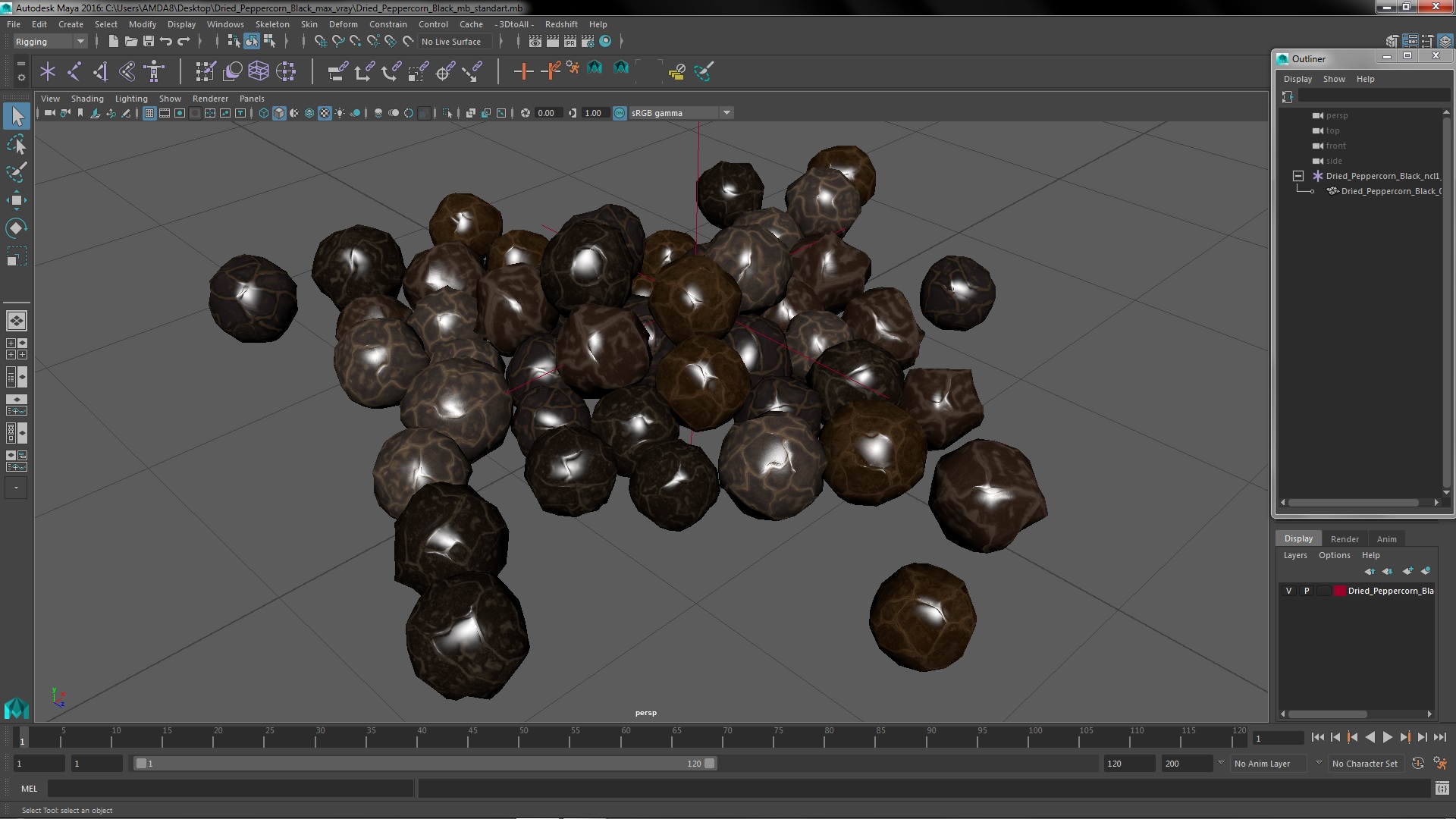 Dried Peppercorn Black 3D