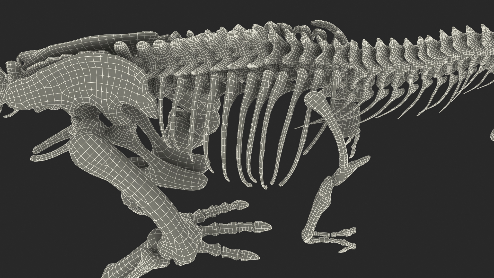 3D Tyrannosaurus Rex Skeleton Fossil model