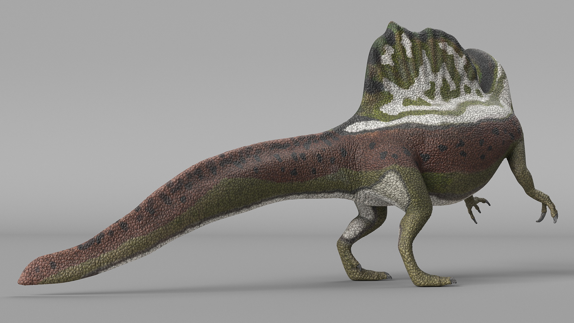 Jurassic Reptile Spinosaurus Green Roaring Pose 3D