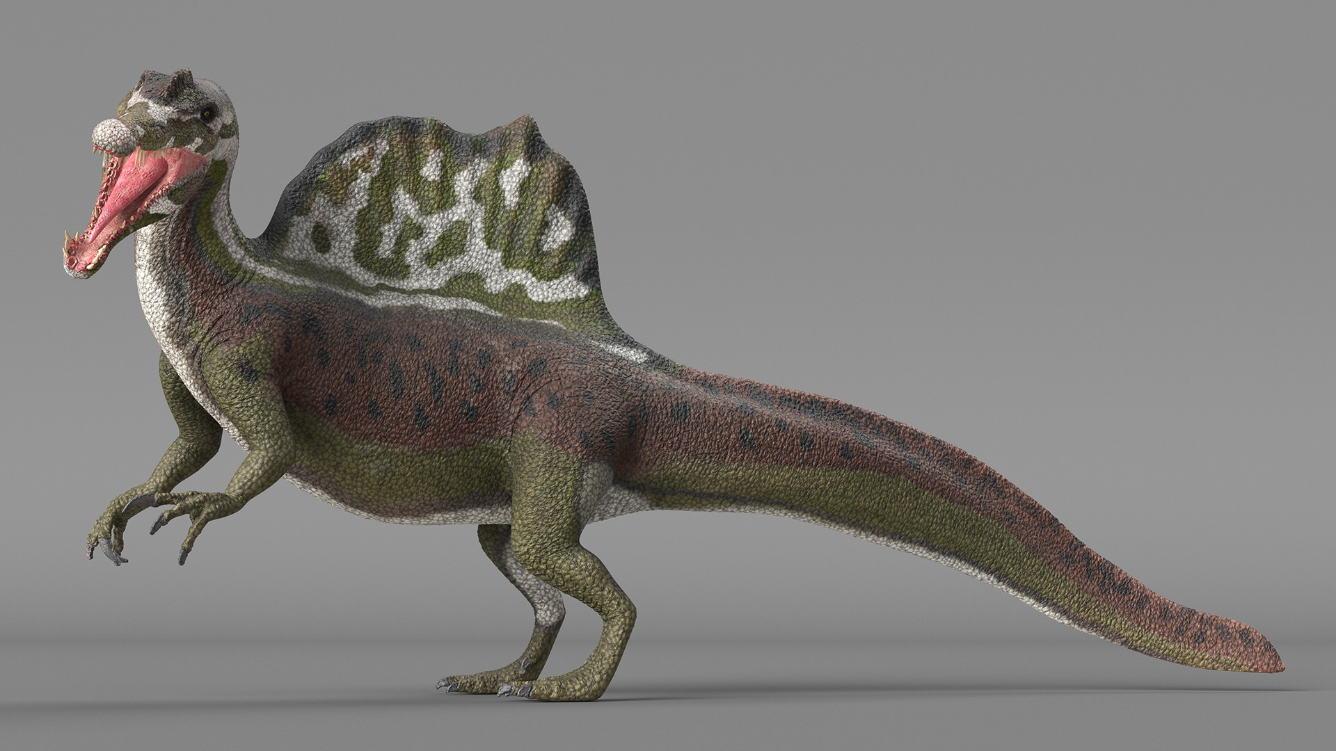 Jurassic Reptile Spinosaurus Green Roaring Pose 3D