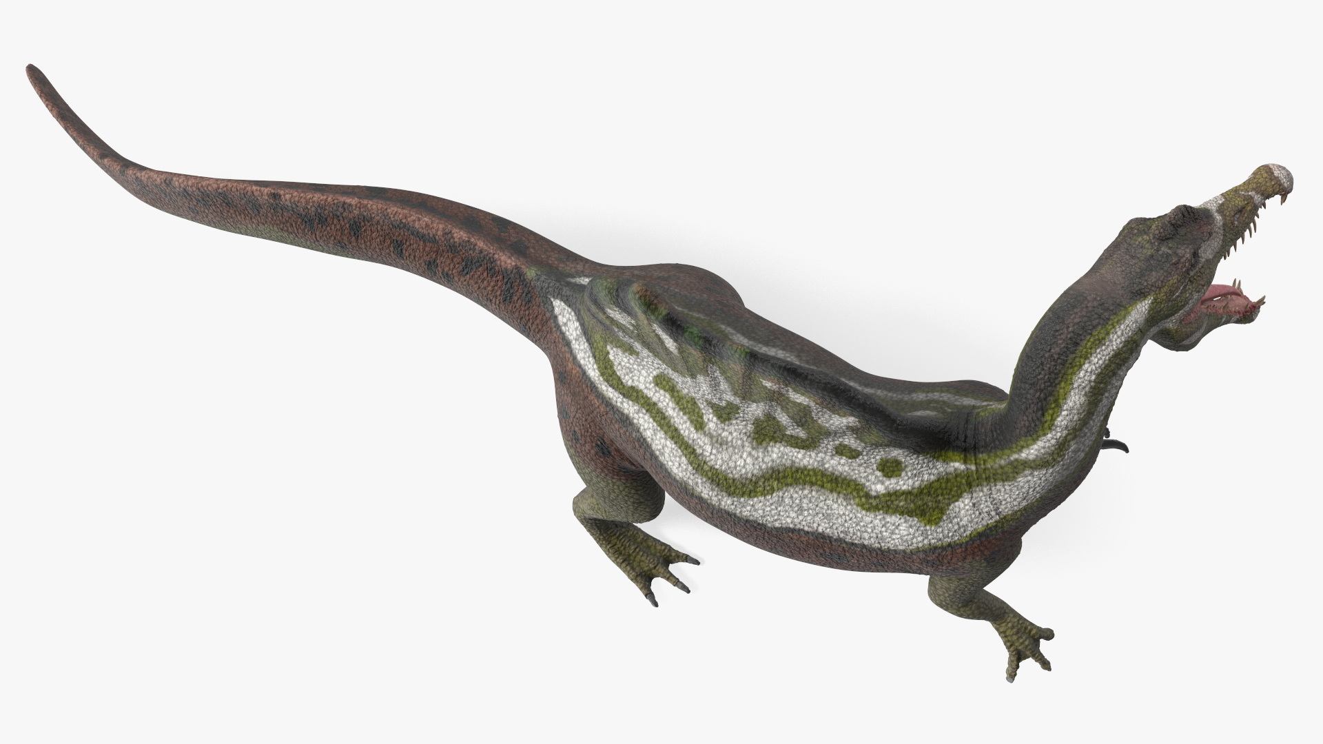 Jurassic Reptile Spinosaurus Green Roaring Pose 3D