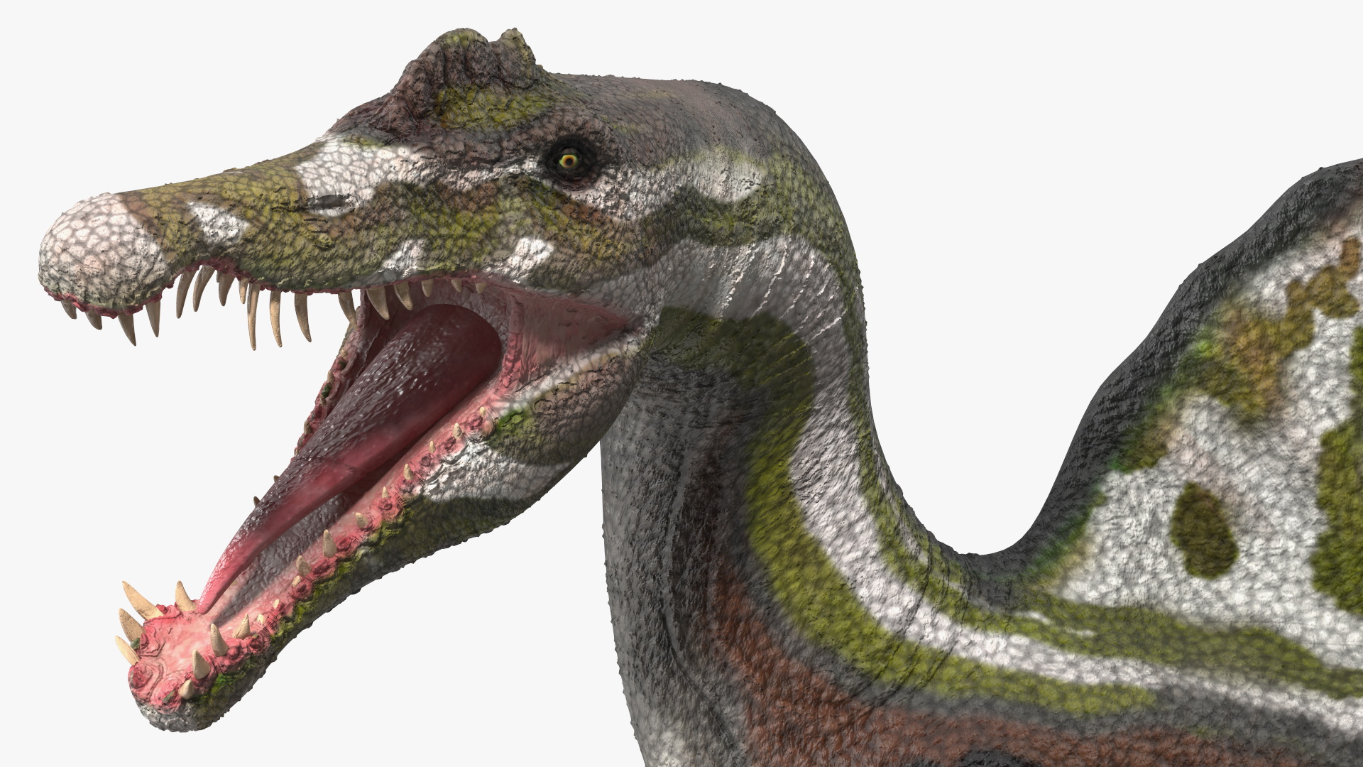 Jurassic Reptile Spinosaurus Green Roaring Pose 3D