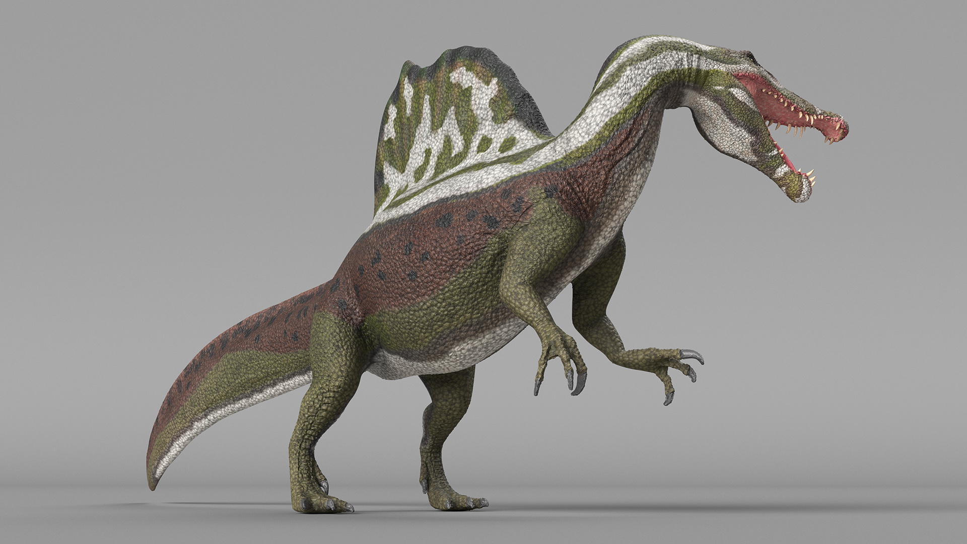Jurassic Reptile Spinosaurus Green Roaring Pose 3D