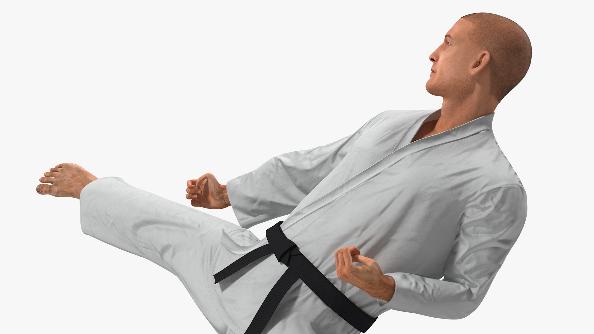 3D model Karate Fighter with Fur Rigged