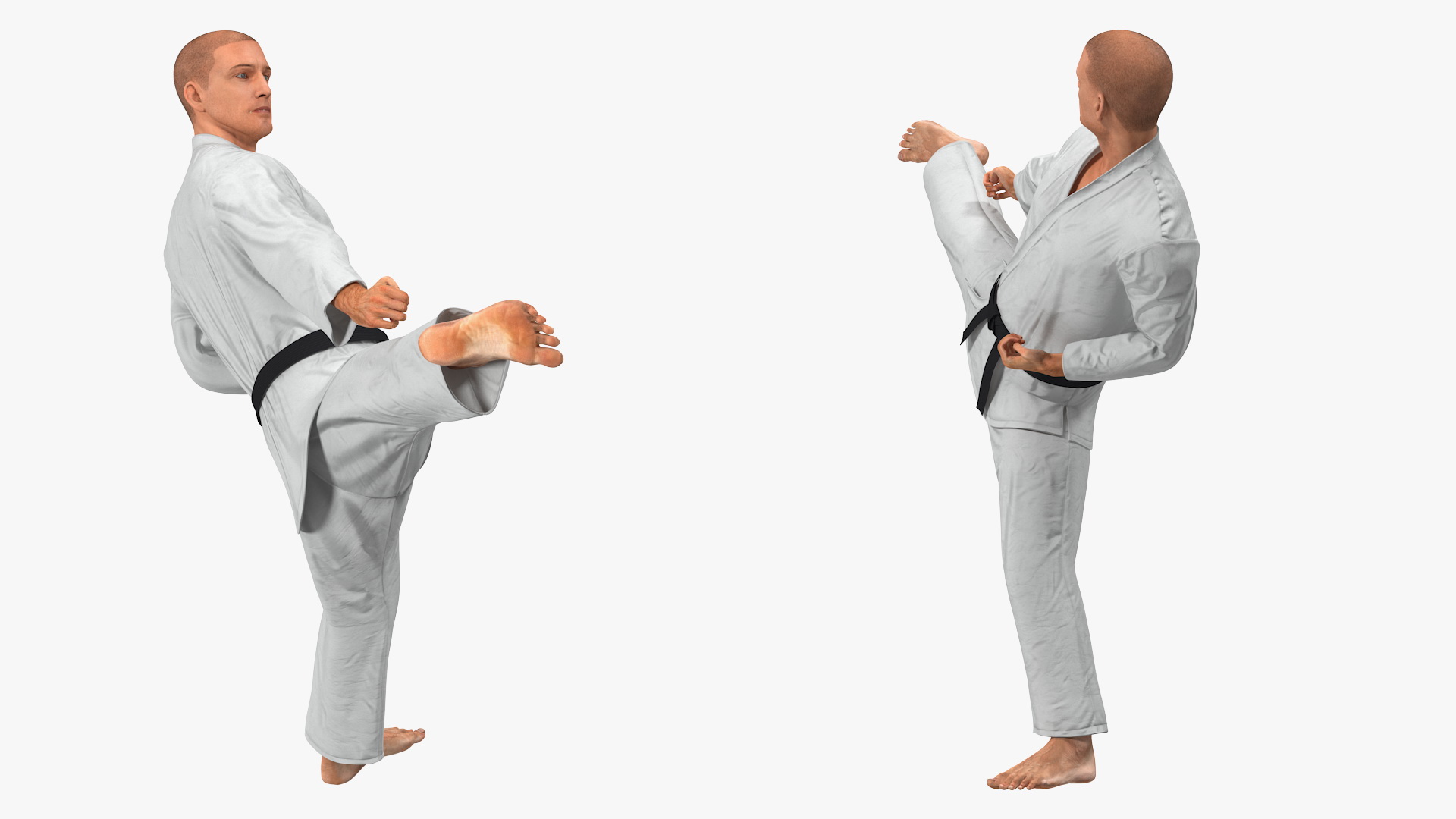 3D model Karate Fighter with Fur Rigged