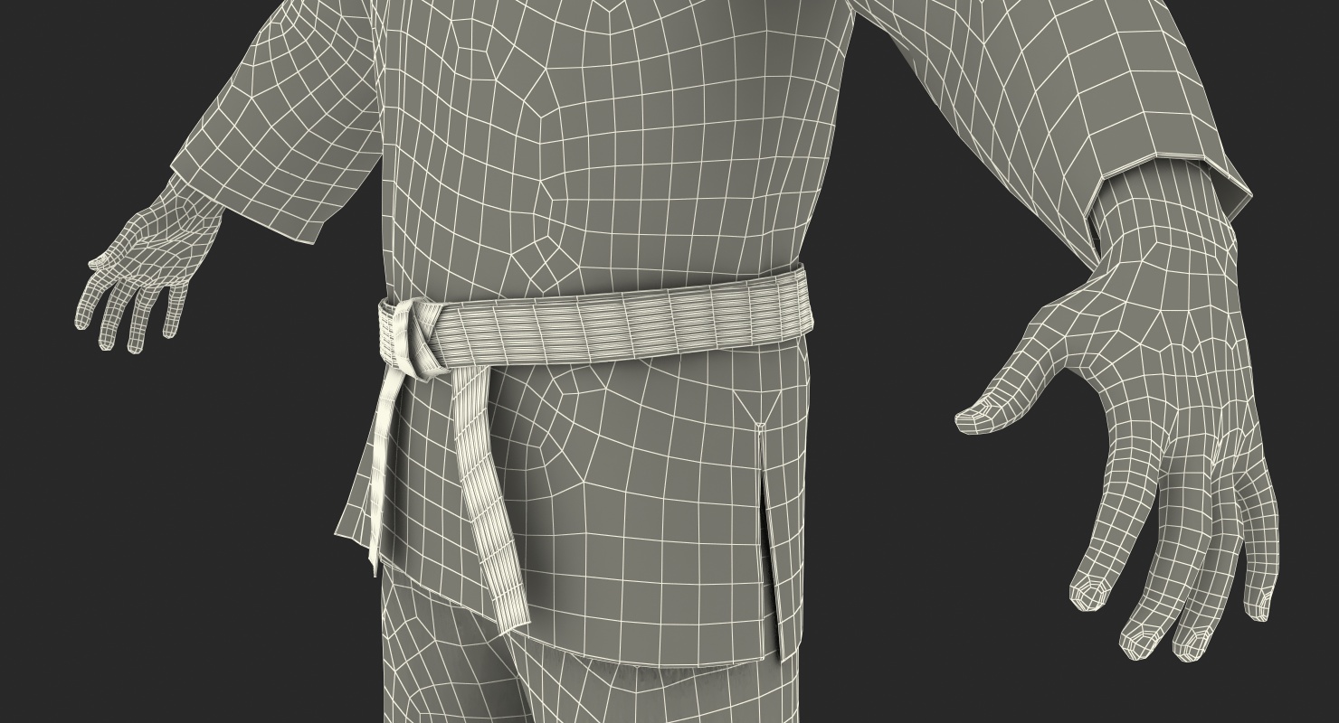 3D model Karate Fighter with Fur Rigged