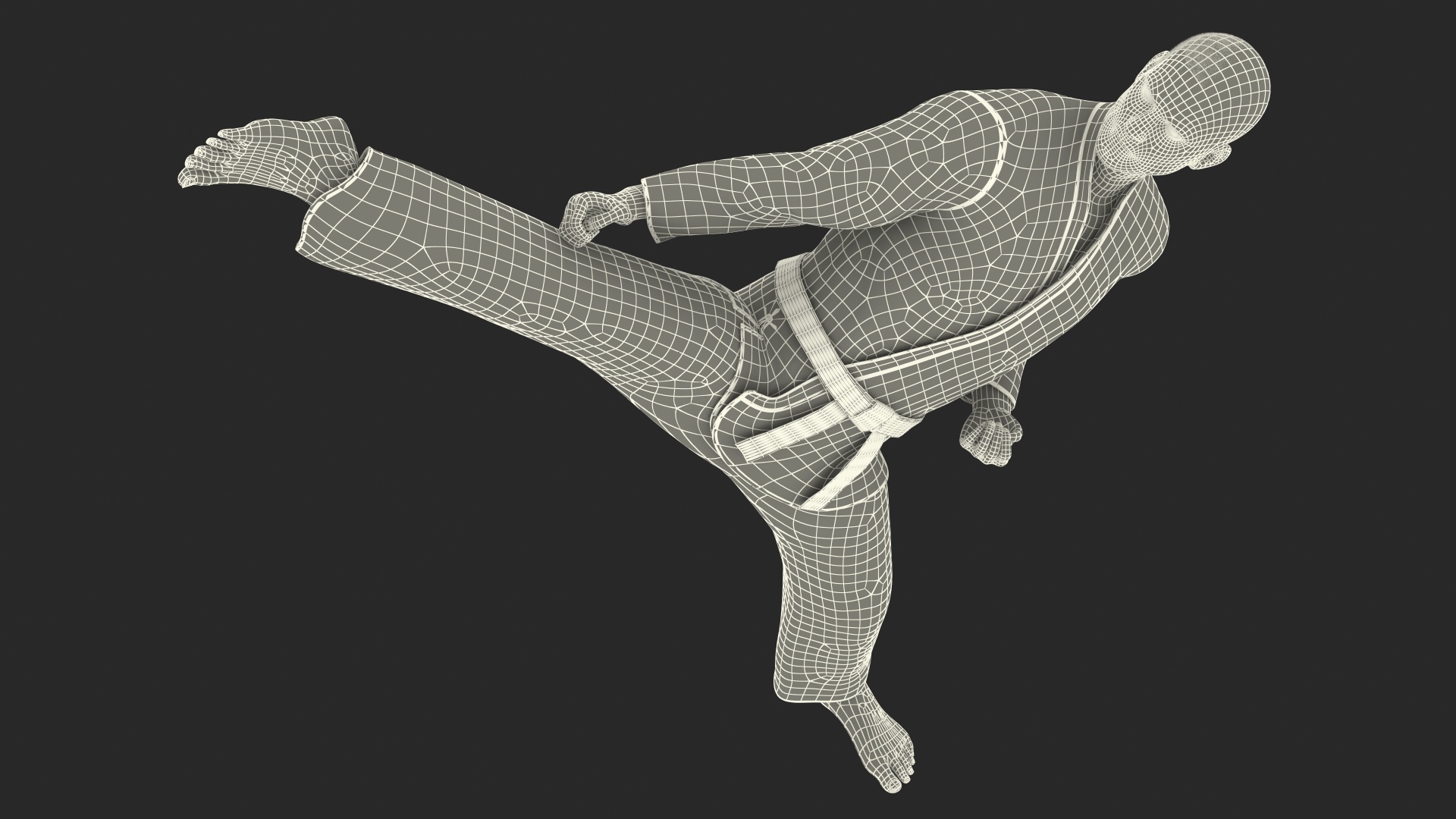 3D model Karate Fighter with Fur Rigged