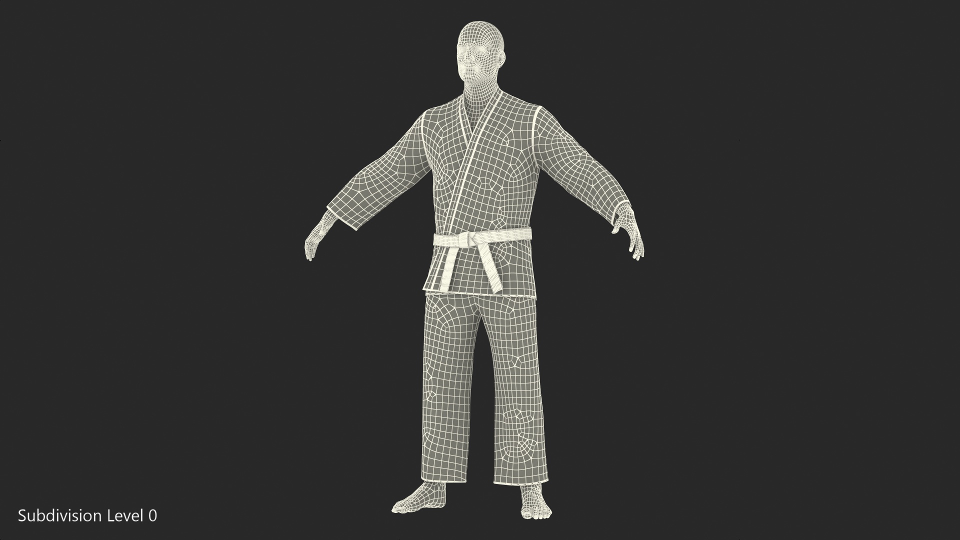 3D model Karate Fighter with Fur Rigged