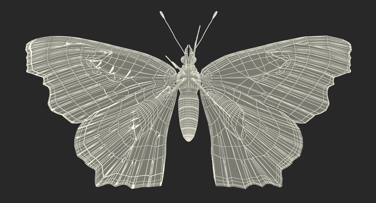 European Peacock Butterfly Sitting Pose 3D model