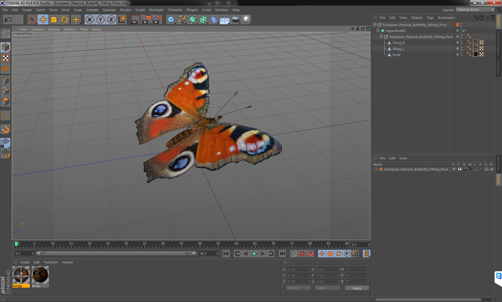 European Peacock Butterfly Sitting Pose 3D model