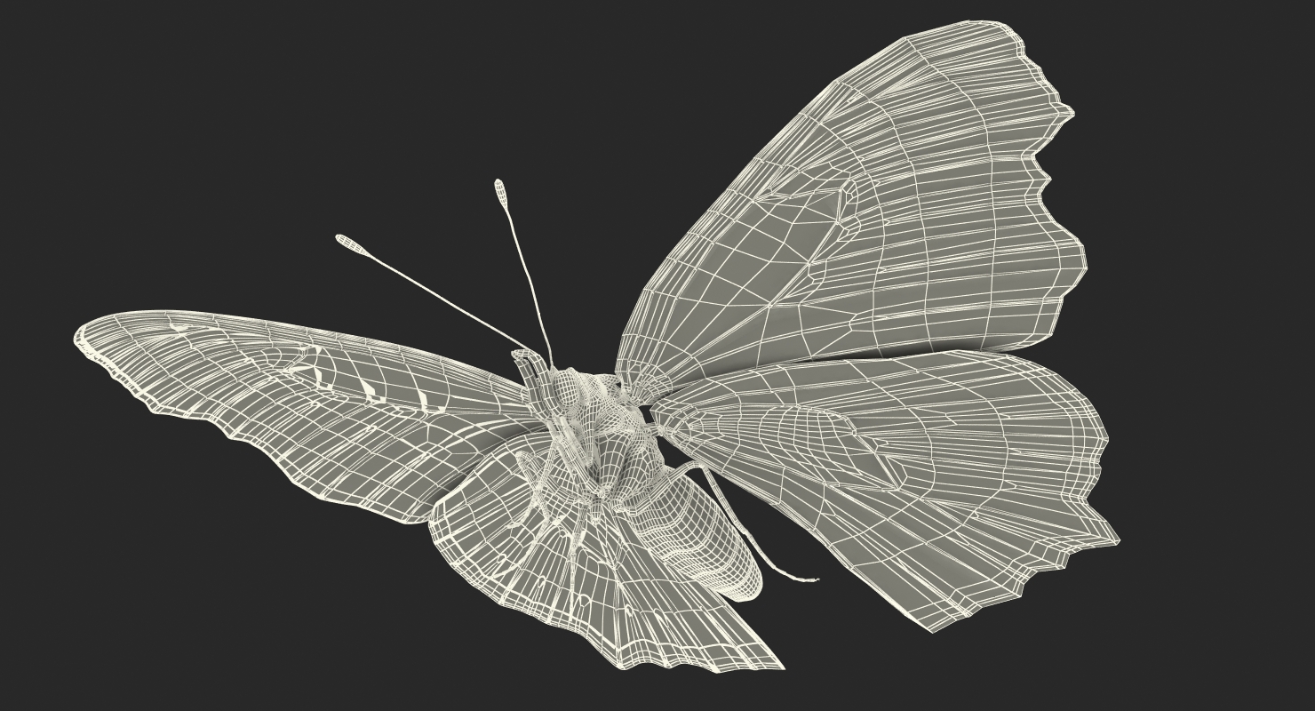 European Peacock Butterfly Sitting Pose 3D model