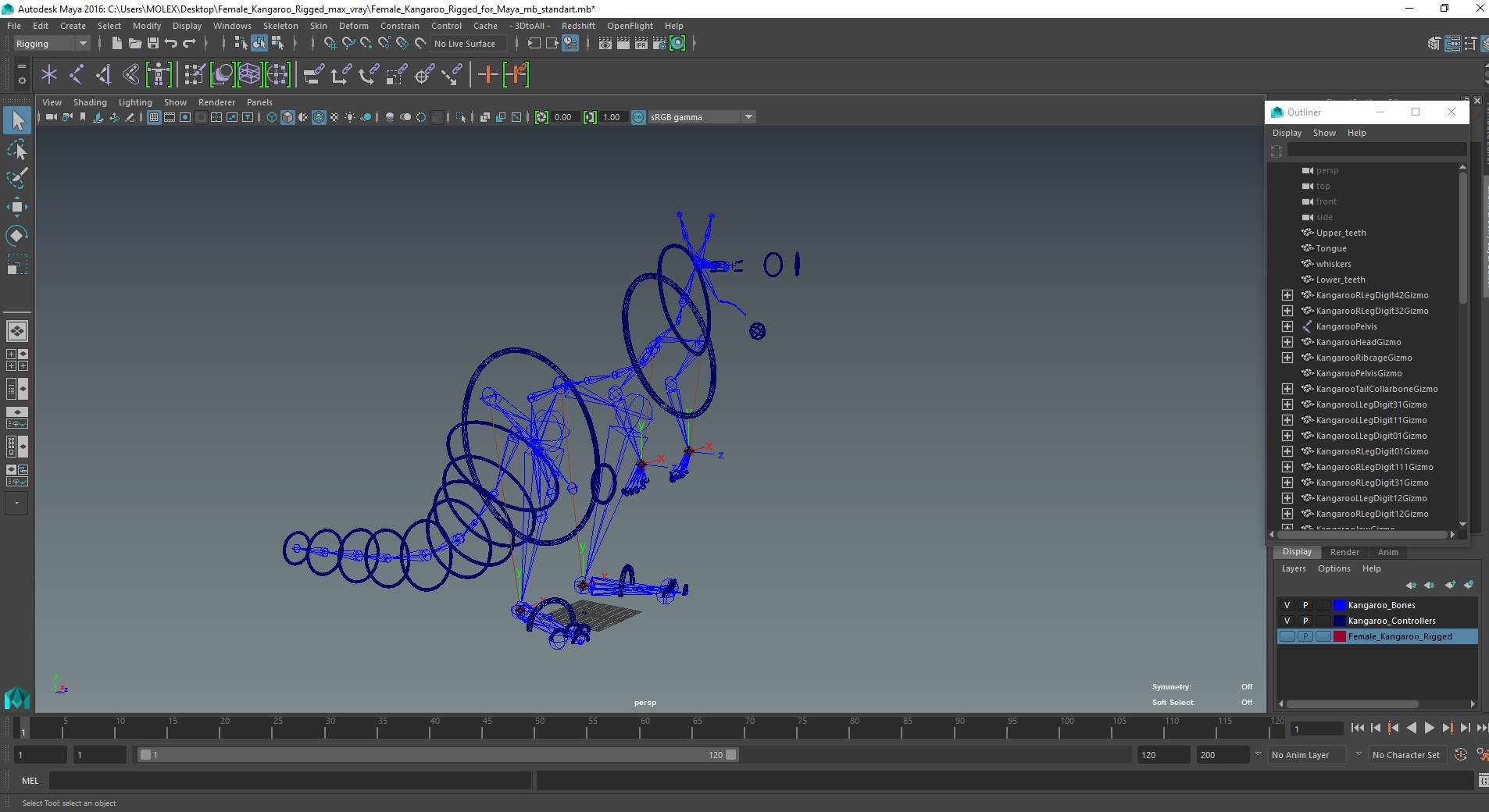 3D Female Kangaroo Rigged for Maya