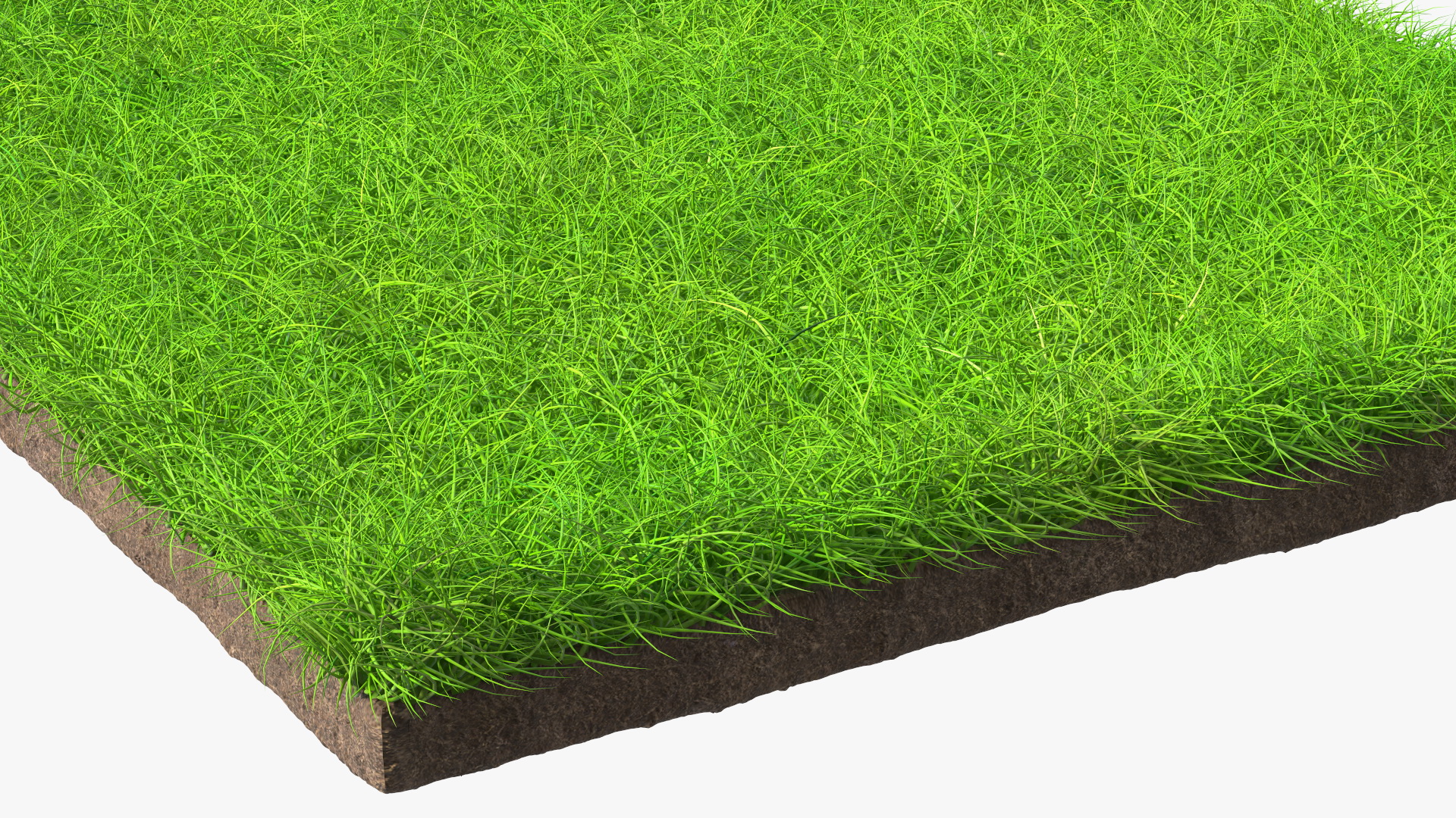 Lawn Turf Roll Unfolded fur 3D
