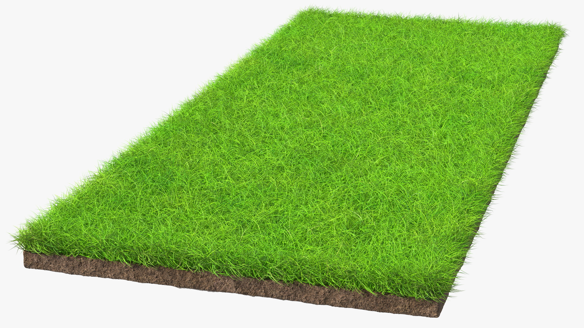 Lawn Turf Roll Unfolded fur 3D