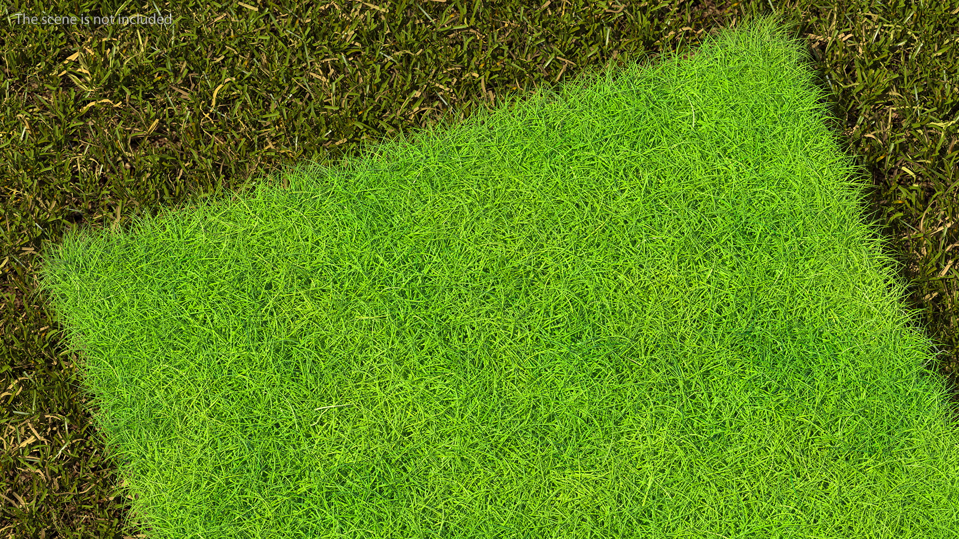 Lawn Turf Roll Unfolded fur 3D