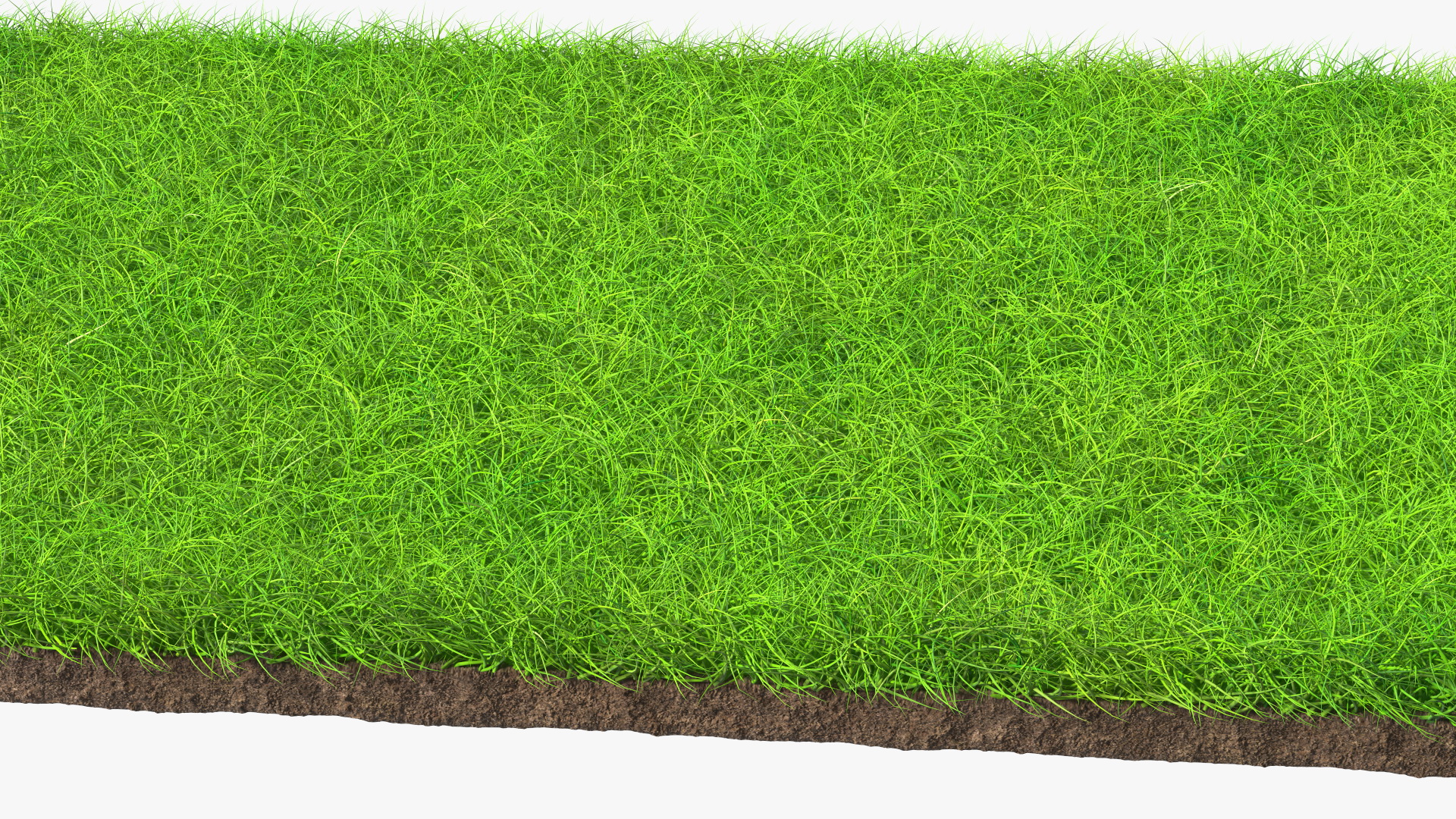 Lawn Turf Roll Unfolded fur 3D