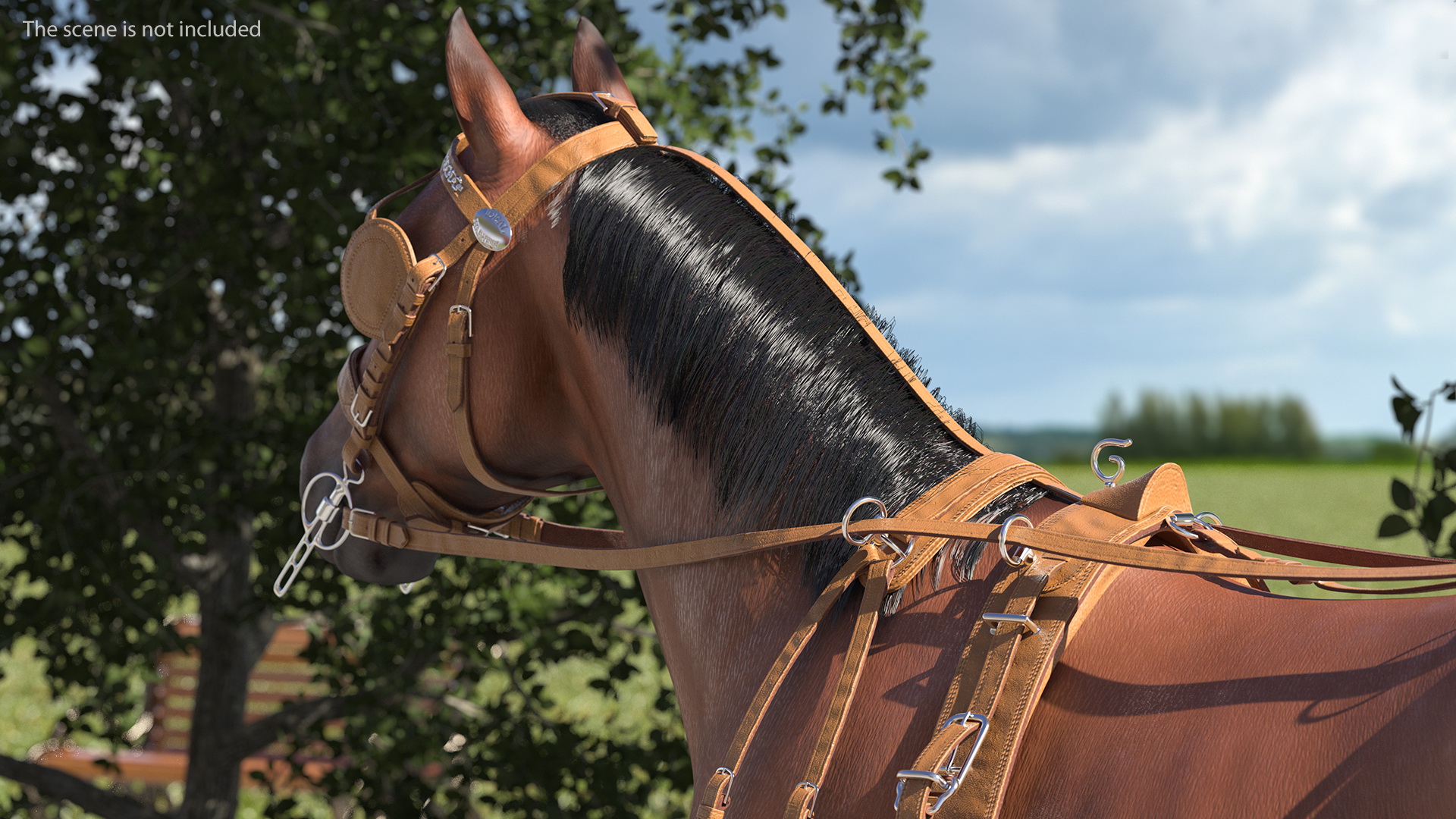 Horse Drawn Leather Single Driving Harness Walking Pose Fur 3D model
