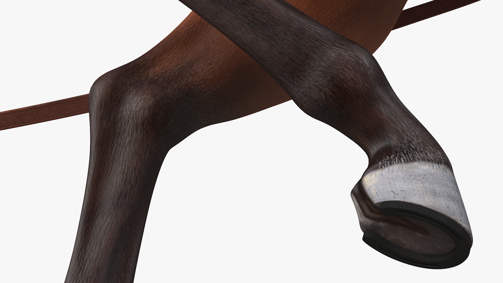 Horse Drawn Leather Single Driving Harness Walking Pose Fur 3D model