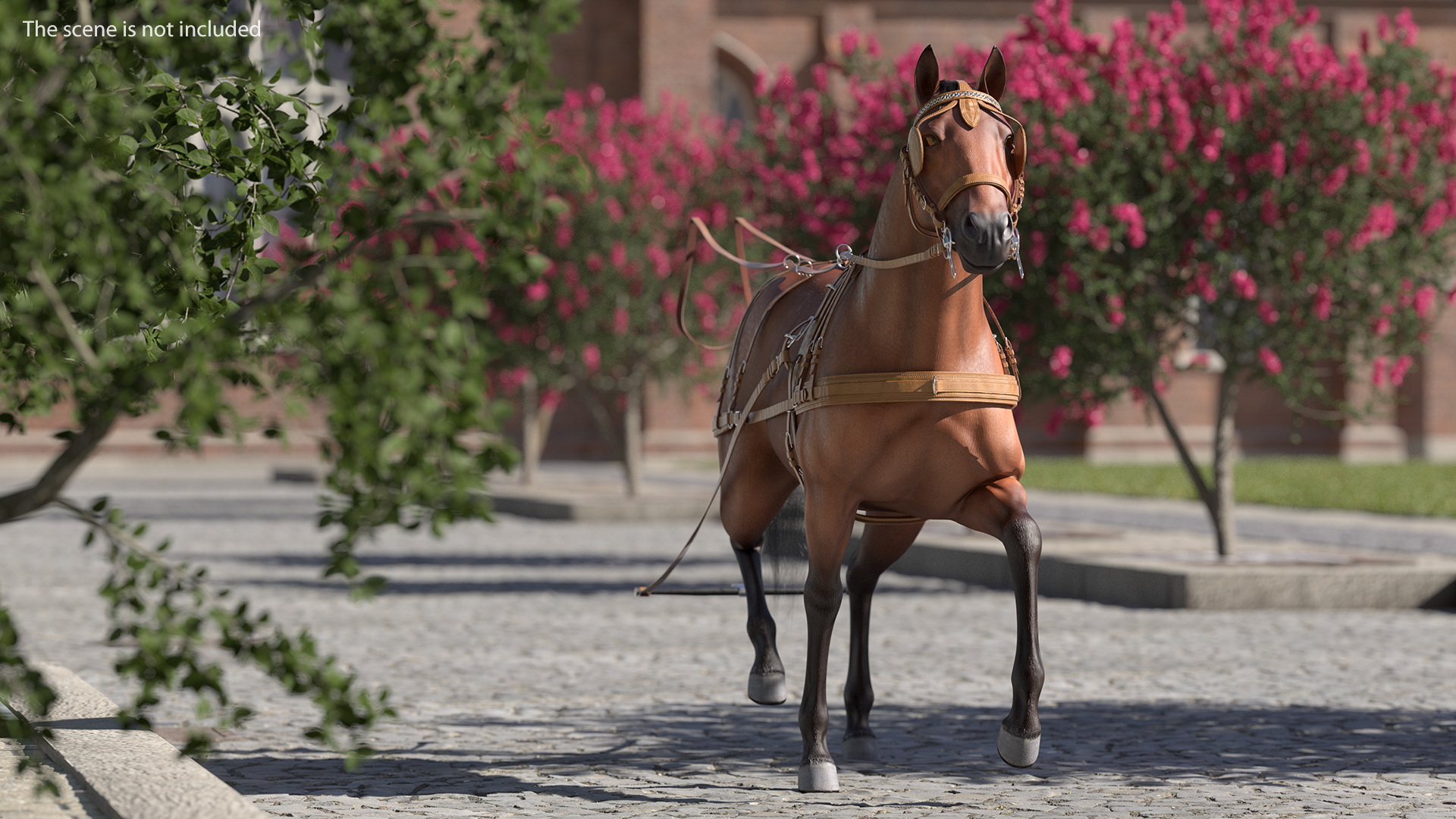 Horse Drawn Leather Single Driving Harness Walking Pose Fur 3D model