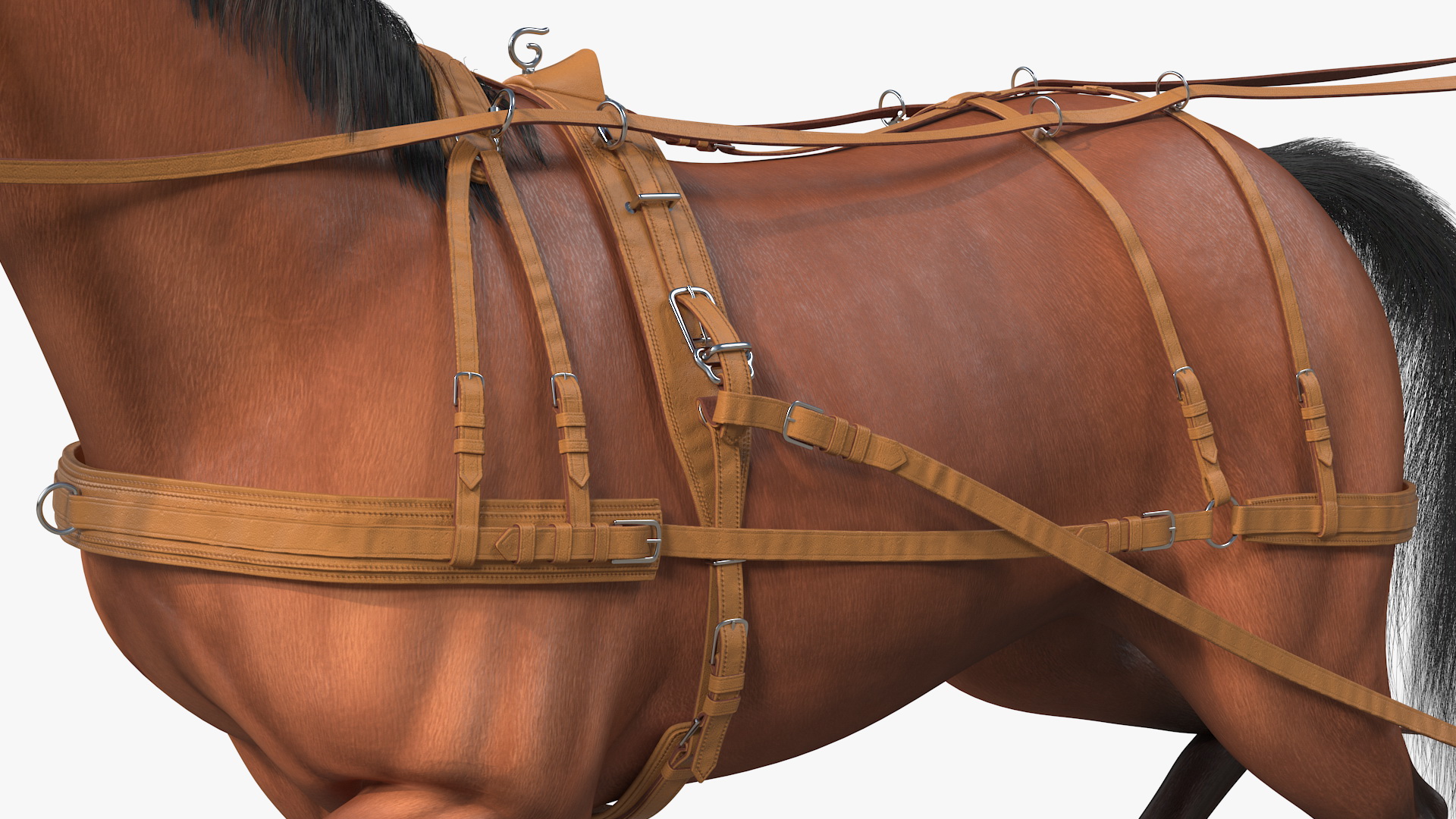 Horse Drawn Leather Single Driving Harness Walking Pose Fur 3D model