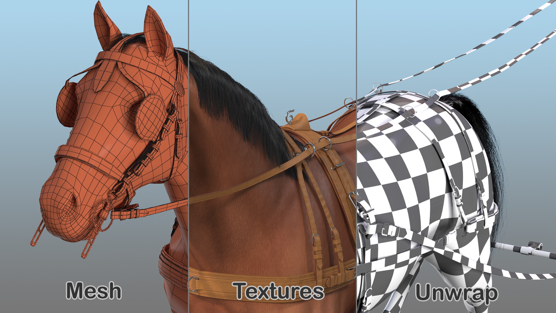 Horse Drawn Leather Single Driving Harness Walking Pose Fur 3D model