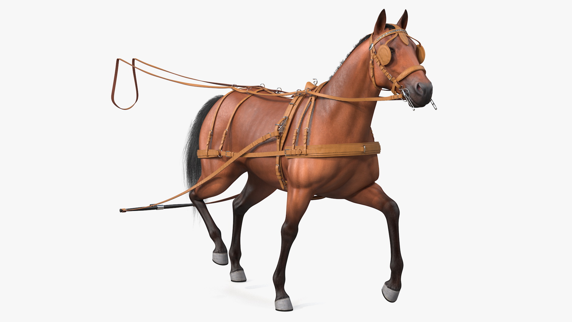 Horse Drawn Leather Single Driving Harness Walking Pose Fur 3D model
