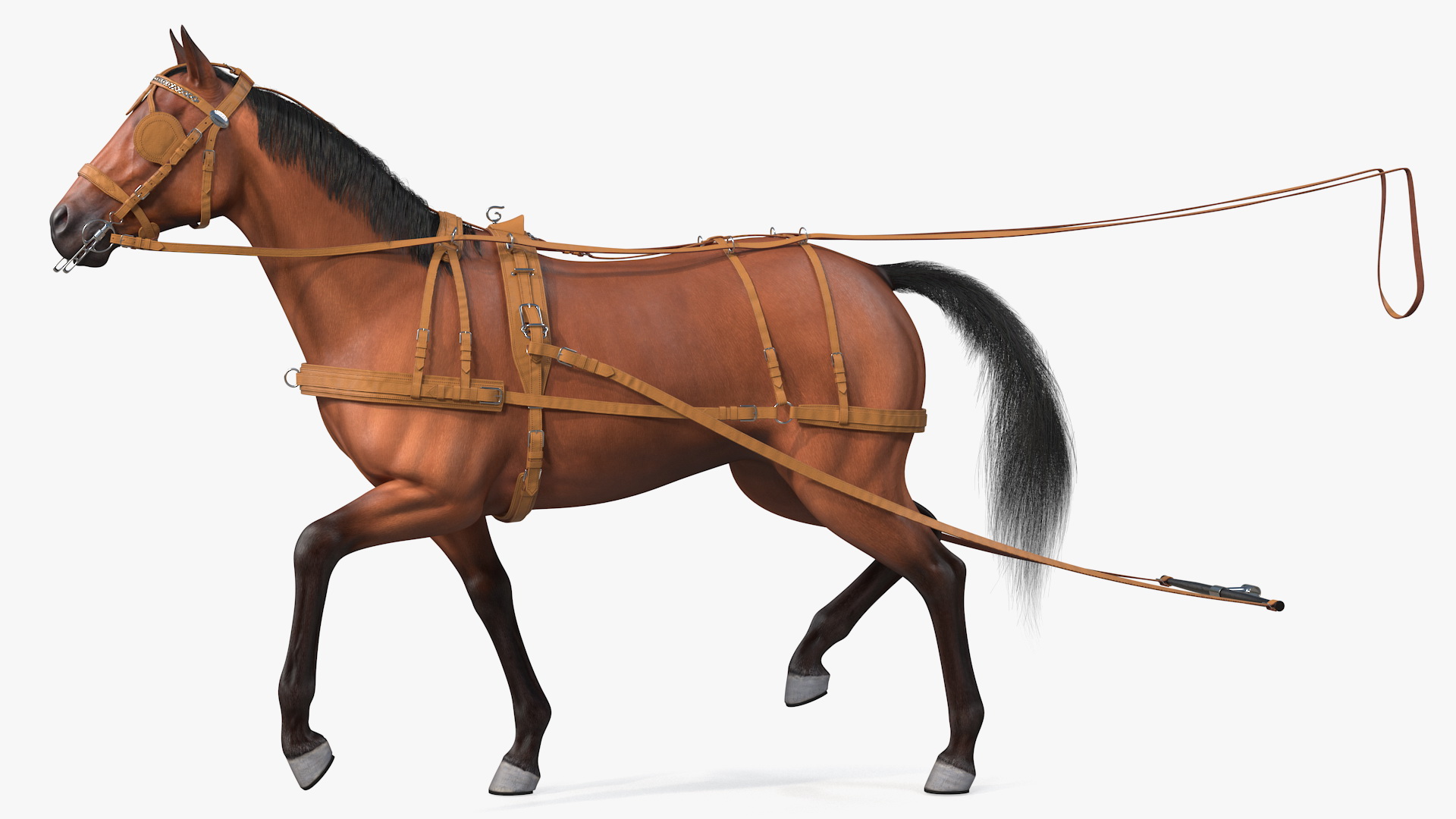 Horse Drawn Leather Single Driving Harness Walking Pose Fur 3D model