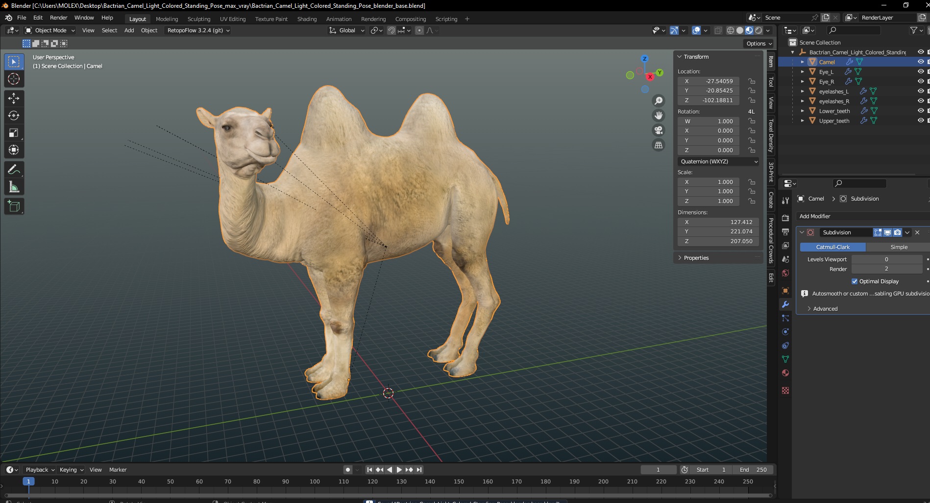 Bactrian Camel Light Colored Standing Pose 3D